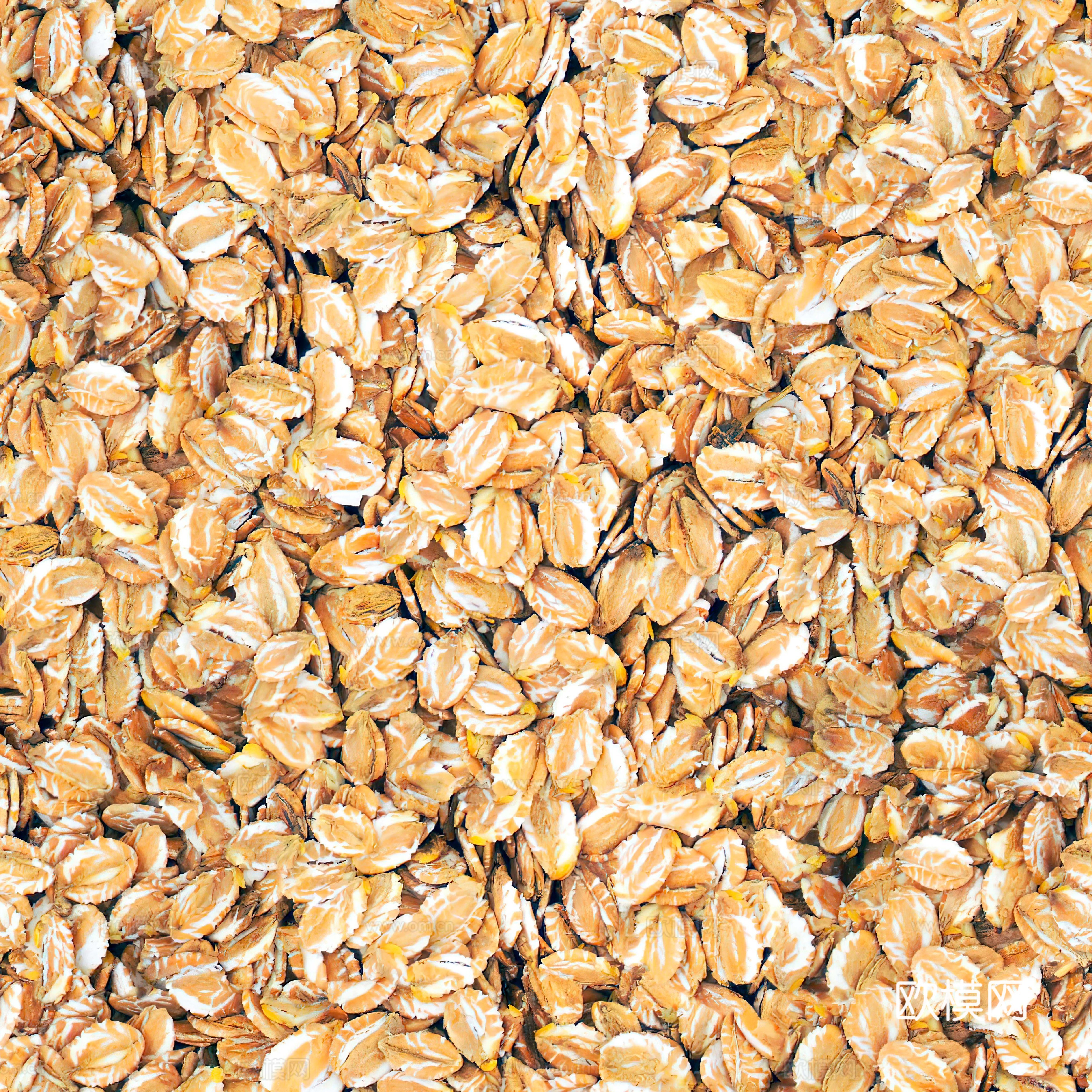 无缝燕麦片下载