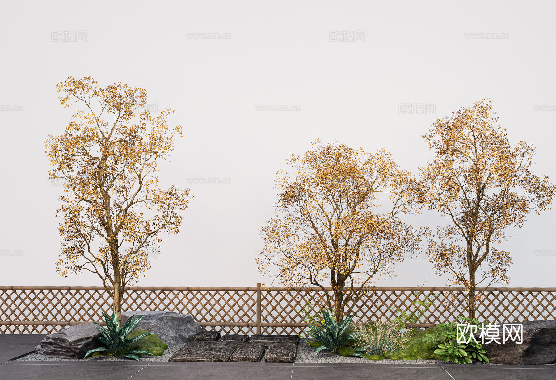 现代 黄果朴树 乔木植物组合 庭院行道朴树乔木免费su模型
