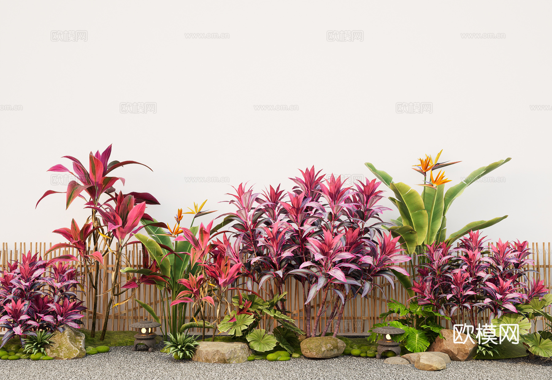 现代单株 植物变叶木 朱蕉 丛生灌木免费su模型