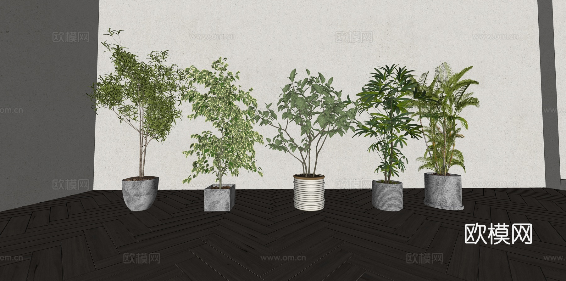 现代森系植物盆栽组合 绿植盆栽 盆景 阳台植物su模型