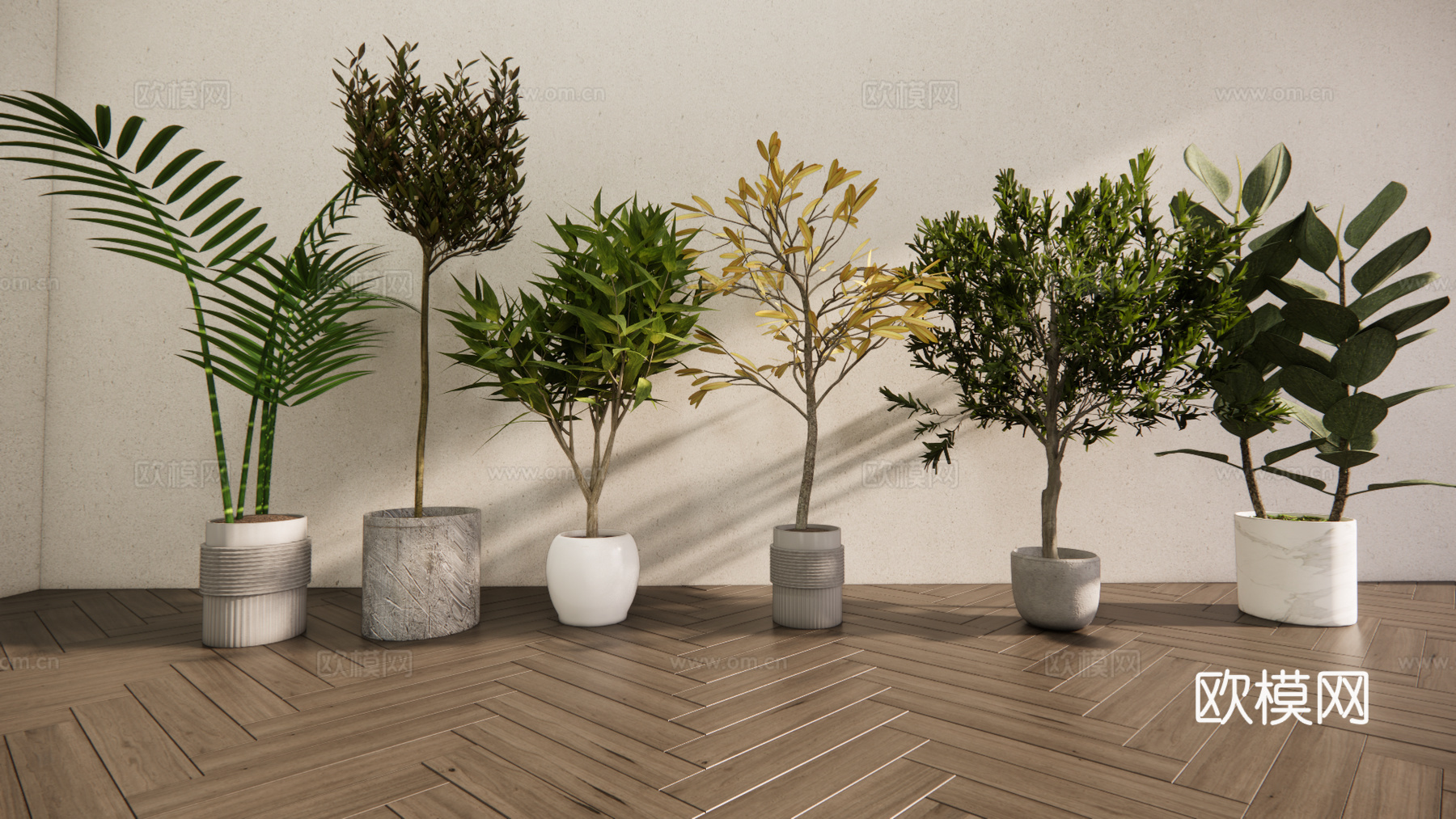 现代森系植物盆栽组合 绿植盆栽 盆景 阳台植物su模型
