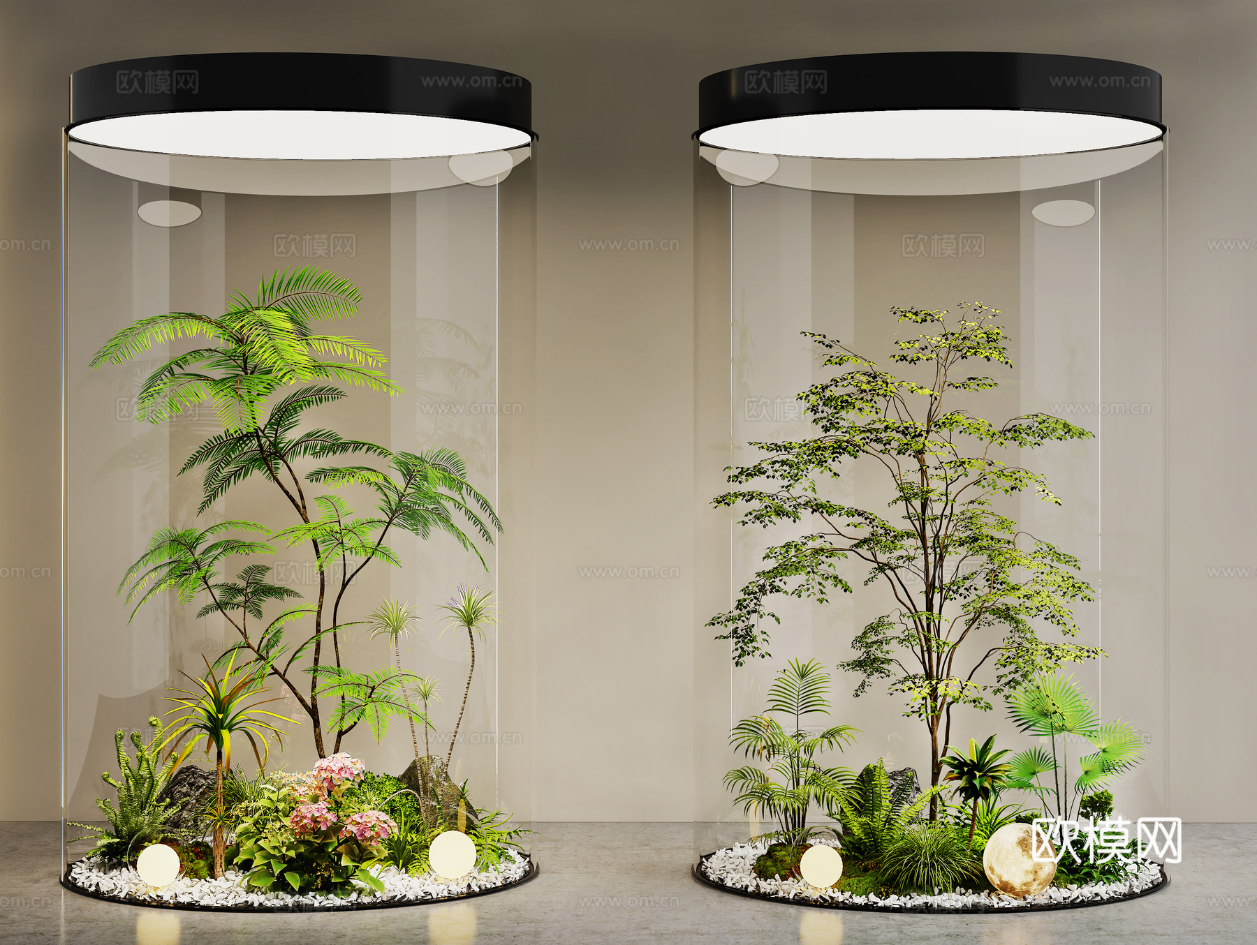 现代室内景观 景观造景 植物堆 景观树 玻璃柜景观造景 绿植3d模型