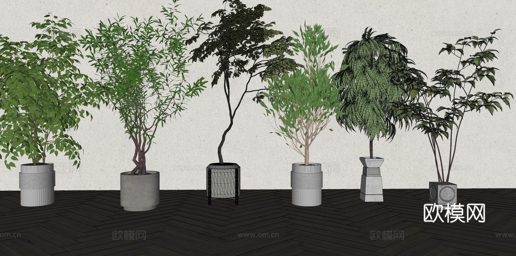 现代森系植物盆栽组合 绿植盆栽 盆景 阳台植物su模型