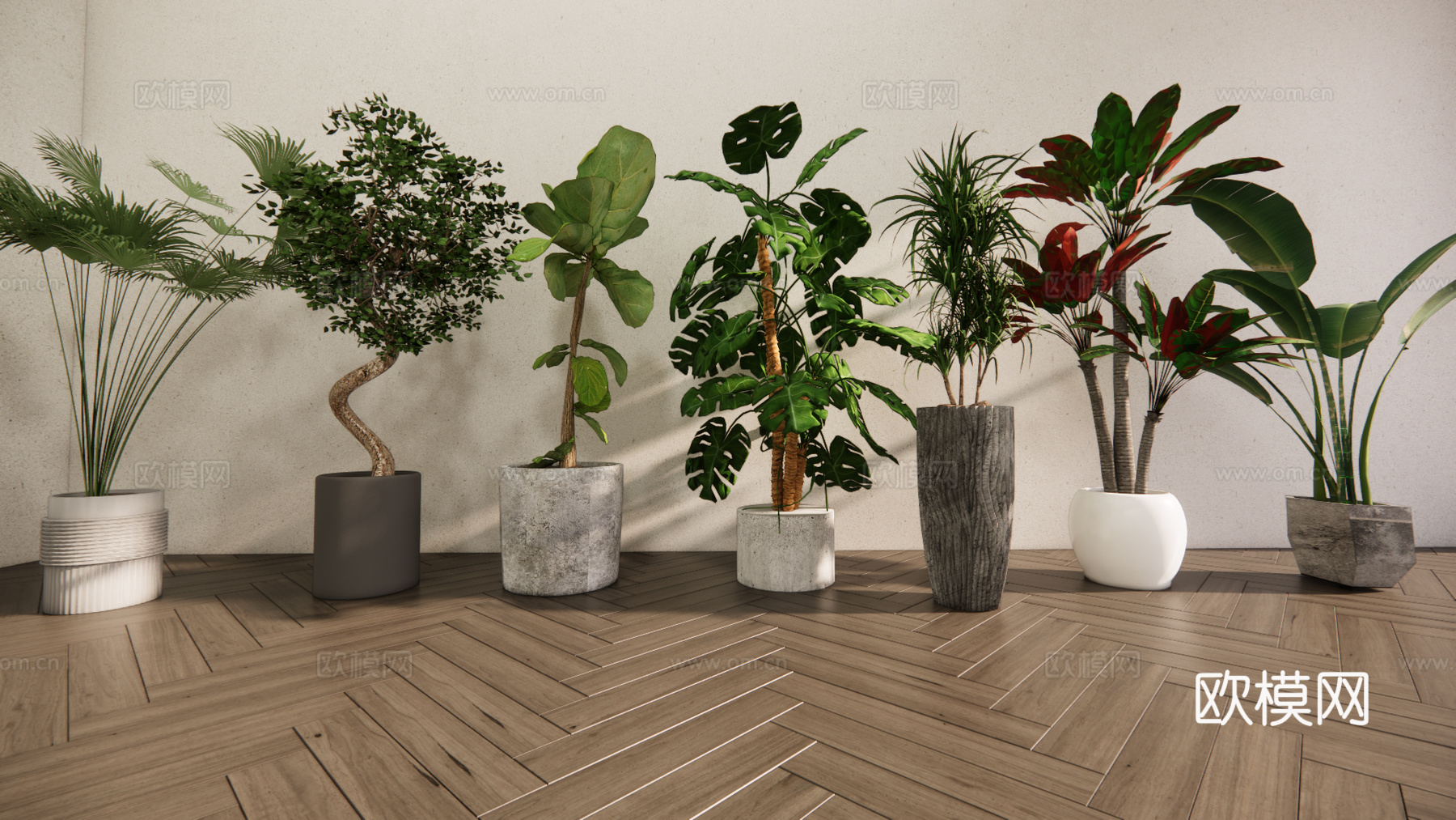 现代森系植物盆栽组合 绿植盆栽 盆景 阳台植物su模型