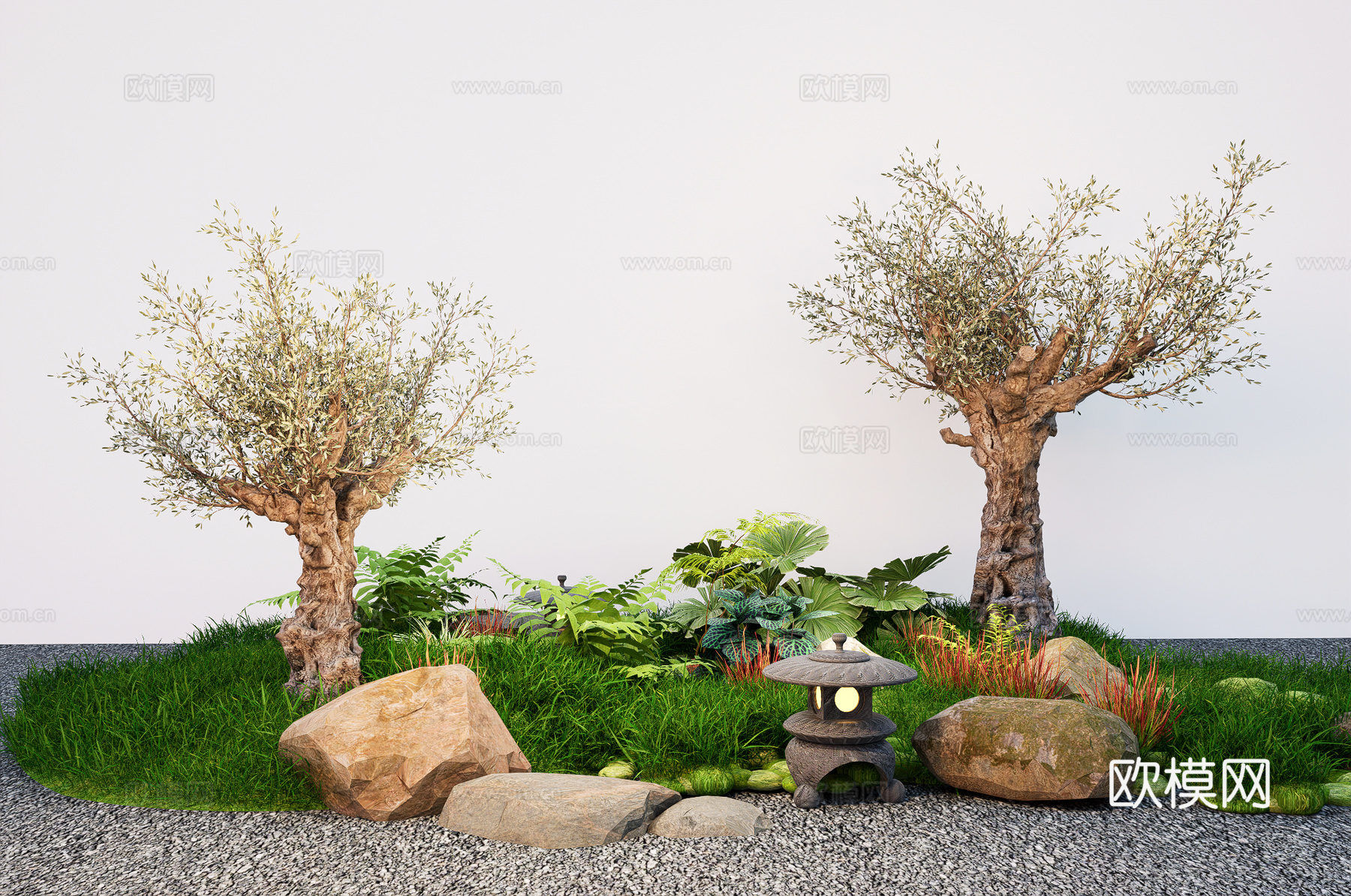 现代老桩植物  造型橄榄树 庭院树 地被地形免费su模型