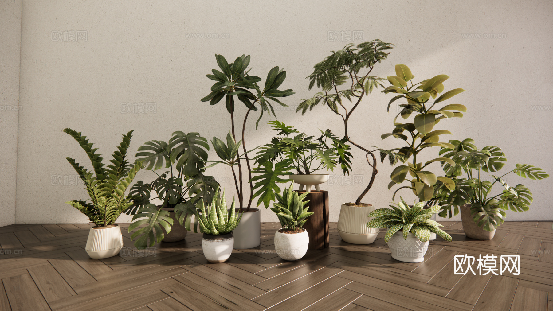 现代森系植物盆栽组合 绿植盆栽 盆景 阳台植物su模型