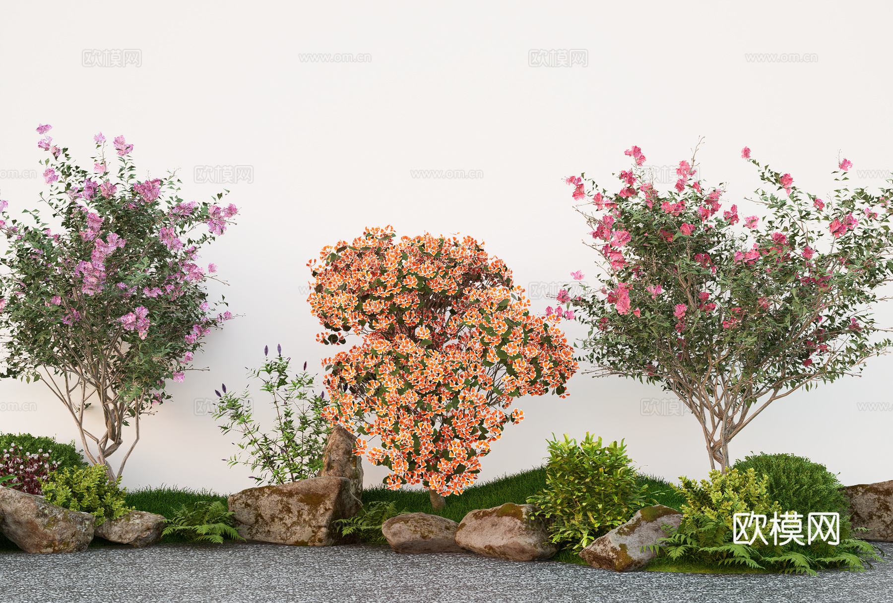 植物乔木组合  造型开花树 紫微免费su模型