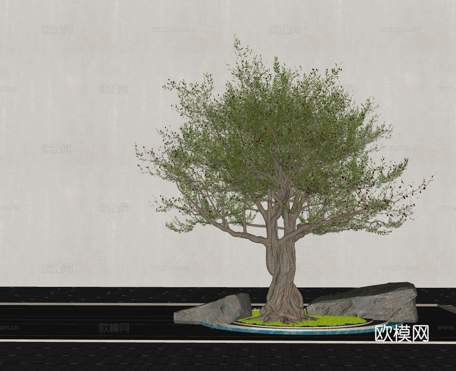 现代植物 景观造型树 老桩橄榄树免费su模型