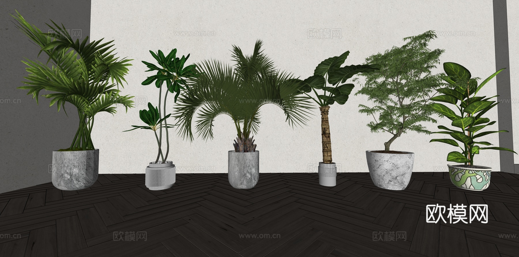 现代森系植物盆栽组合 绿植盆栽 盆景 阳台植物su模型