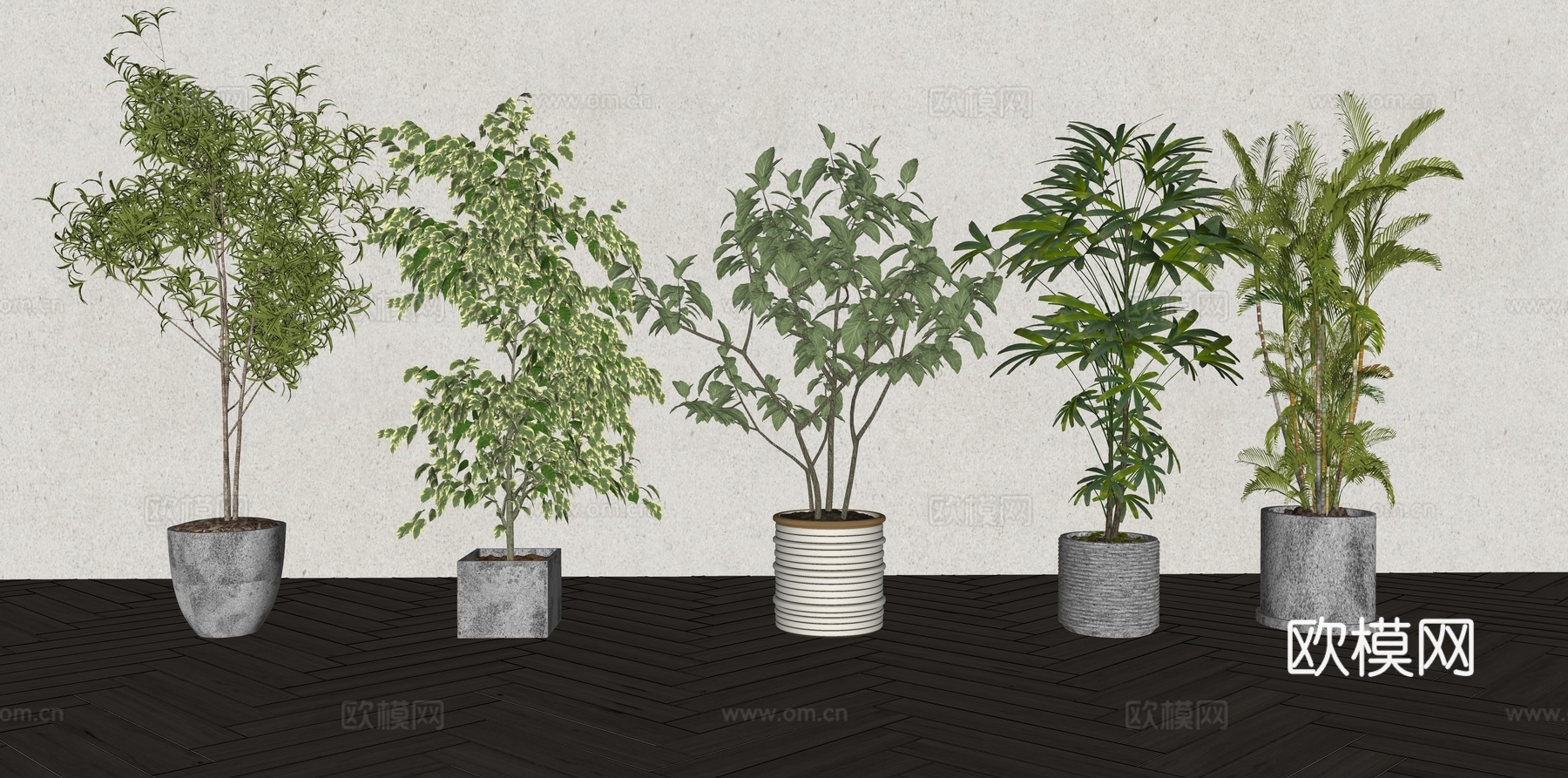 现代森系植物盆栽组合 绿植盆栽 盆景 阳台植物su模型