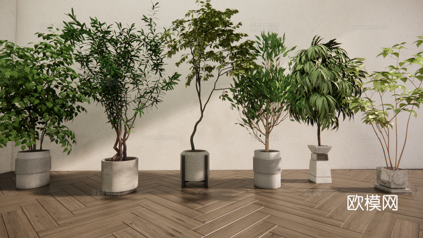 现代森系植物盆栽组合 绿植盆栽 盆景 阳台植物su模型