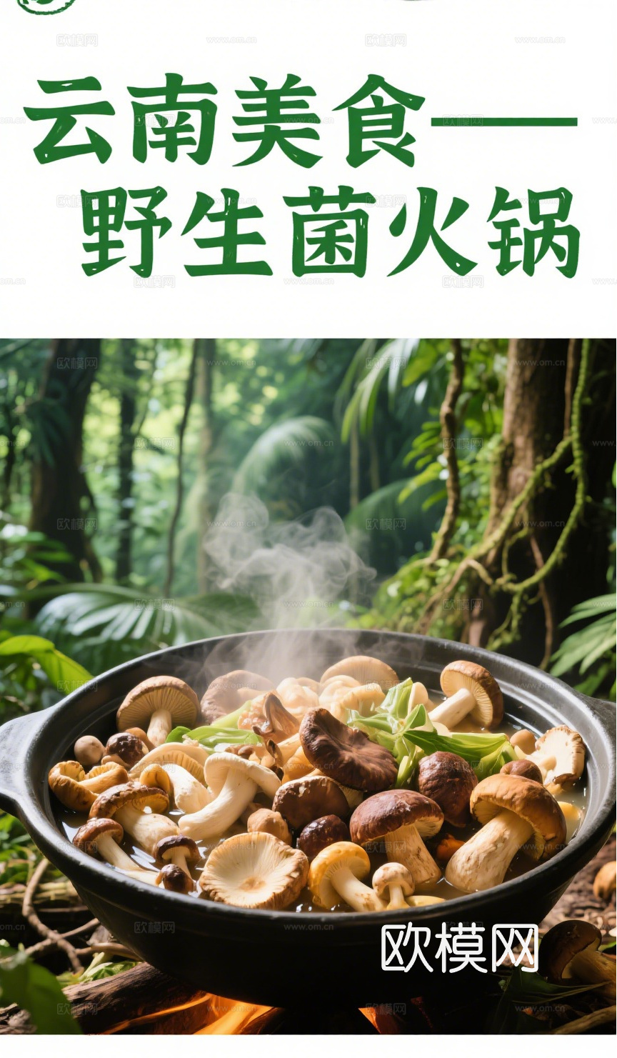 云南野生菌火锅蘑菇