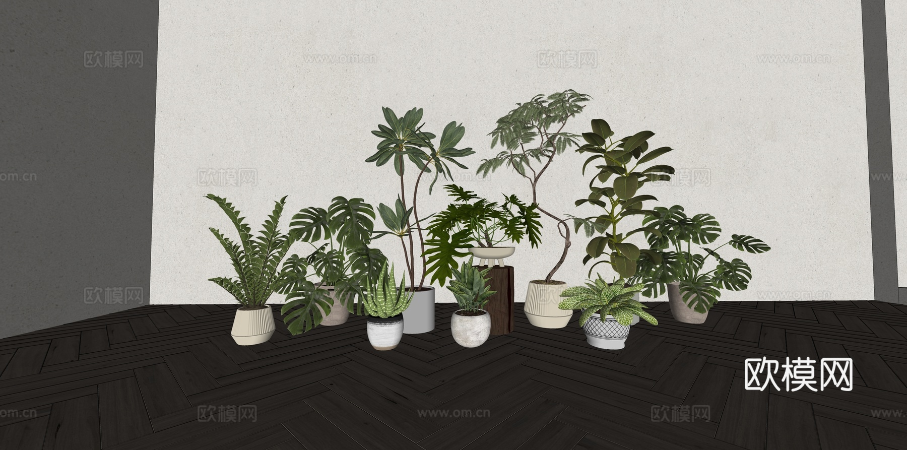 现代森系植物盆栽组合 绿植盆栽 盆景 阳台植物su模型