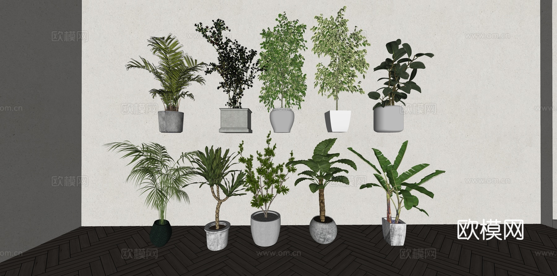 现代森系植物盆栽组合 绿植盆栽 盆景 阳台植物su模型
