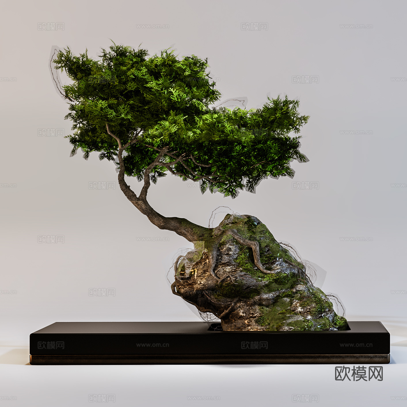 新中式室内盆景  绿植盆栽 植物组合3d模型