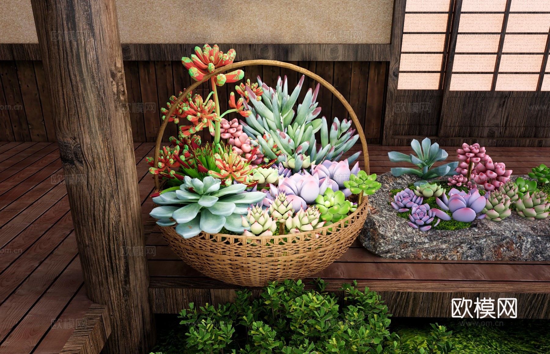 多肉花篮 编织篮多肉植物 多肉植物造景 多肉植物手提花篮 竹su模型