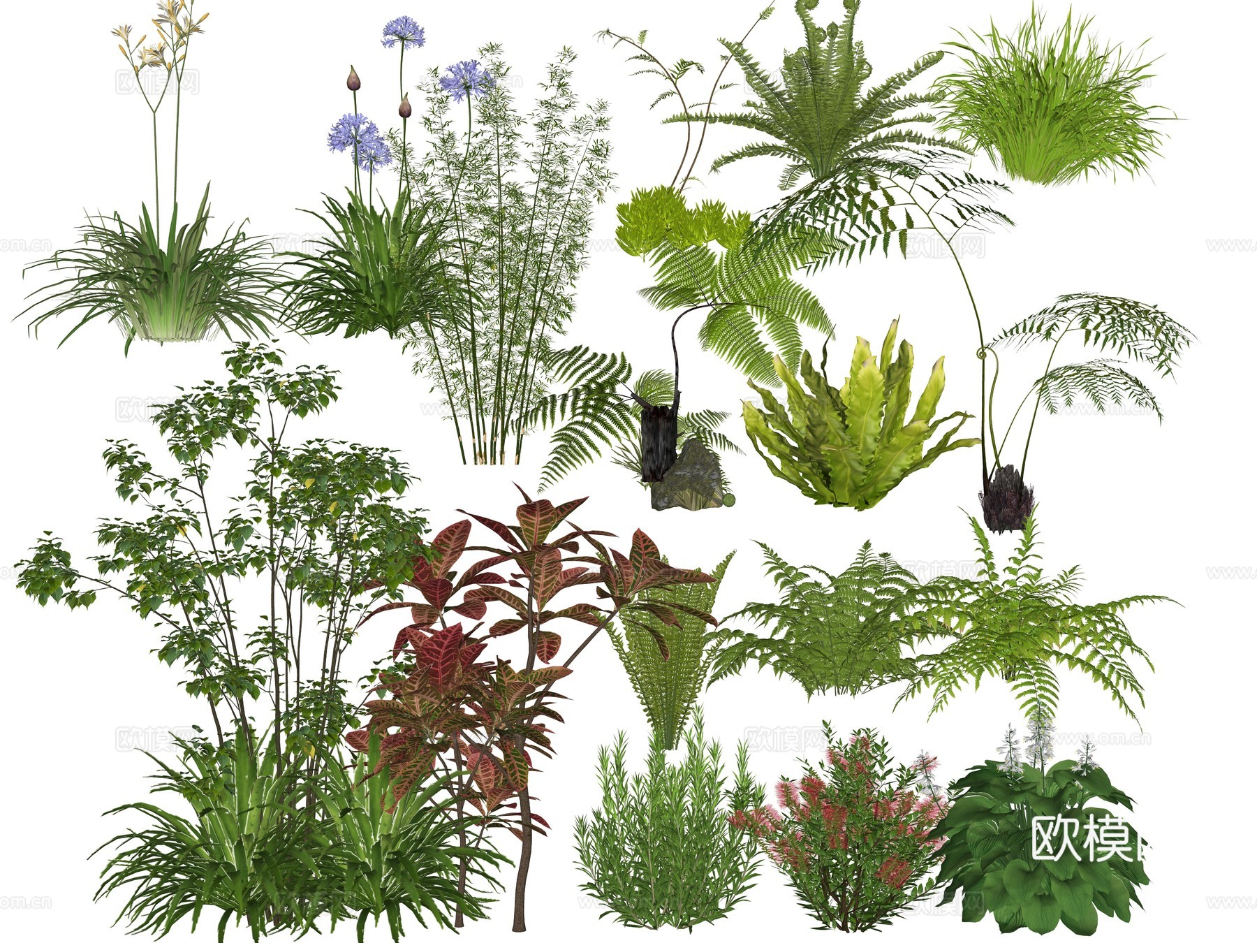 现代庭院植物花草 草花植物 小院景观地被植物su模型