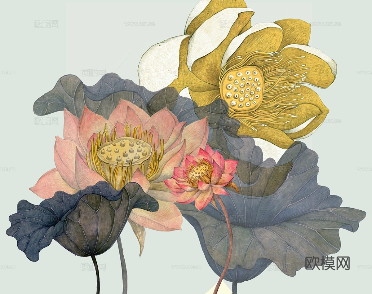 装饰画  现代画   莲花  植物画