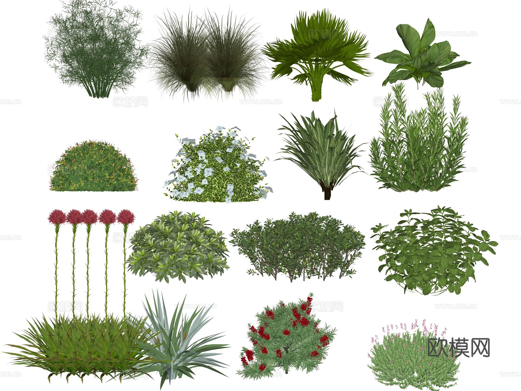 庭院植物花灌木 草花植物 公园景观植物su模型
