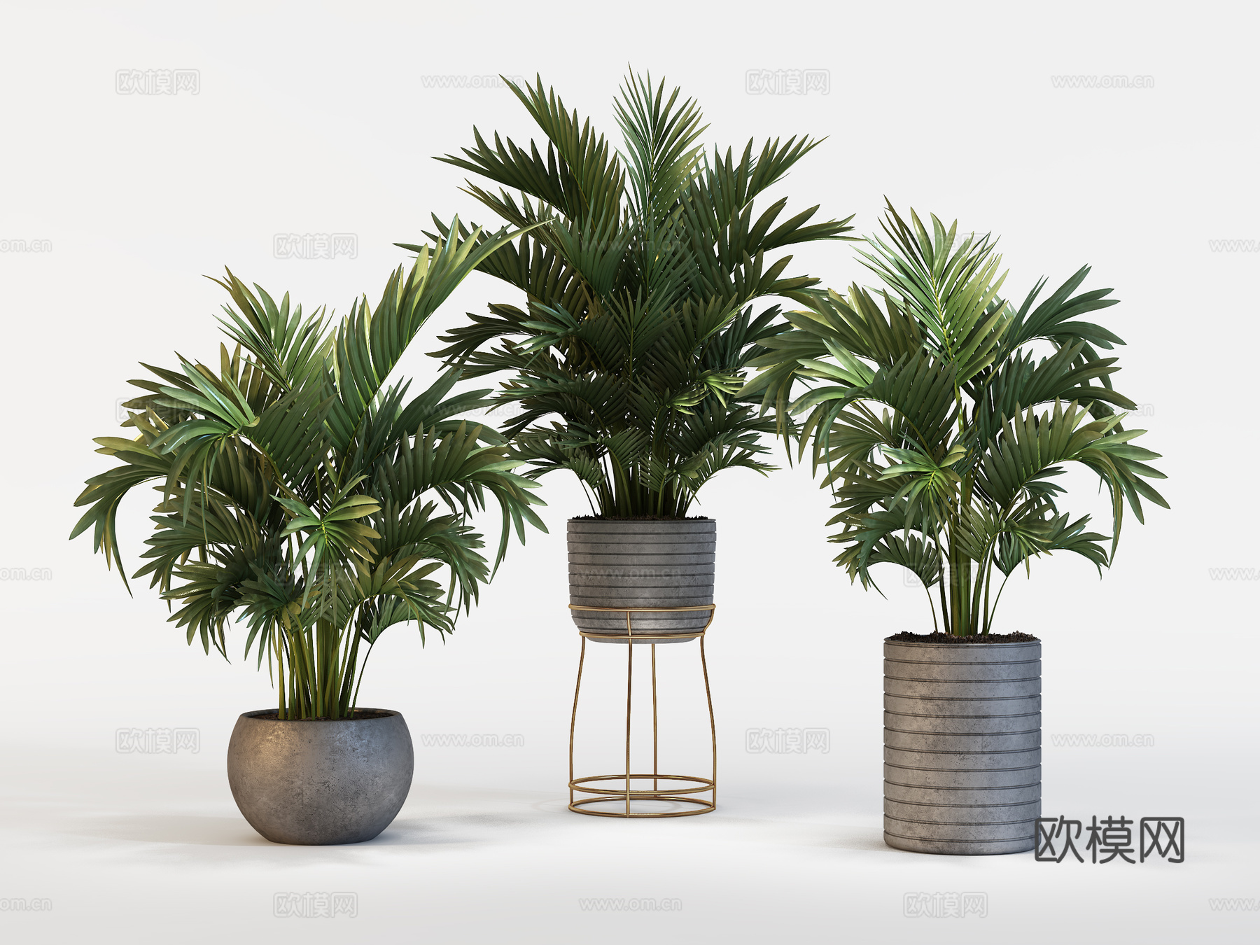 现代植物花草  绿植盆栽    室内绿植3d模型