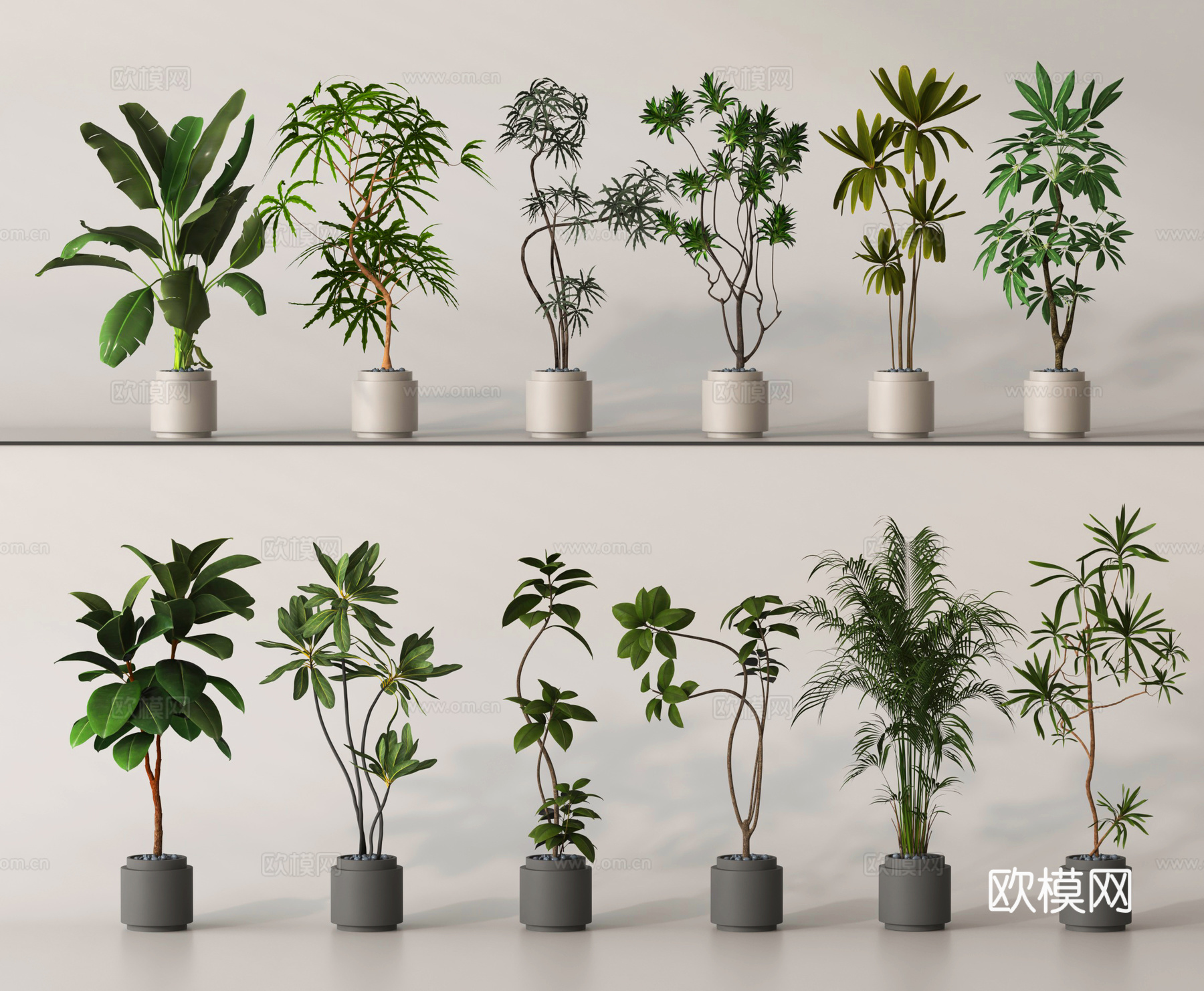 盆栽 盆景 绿植 植物su模型
