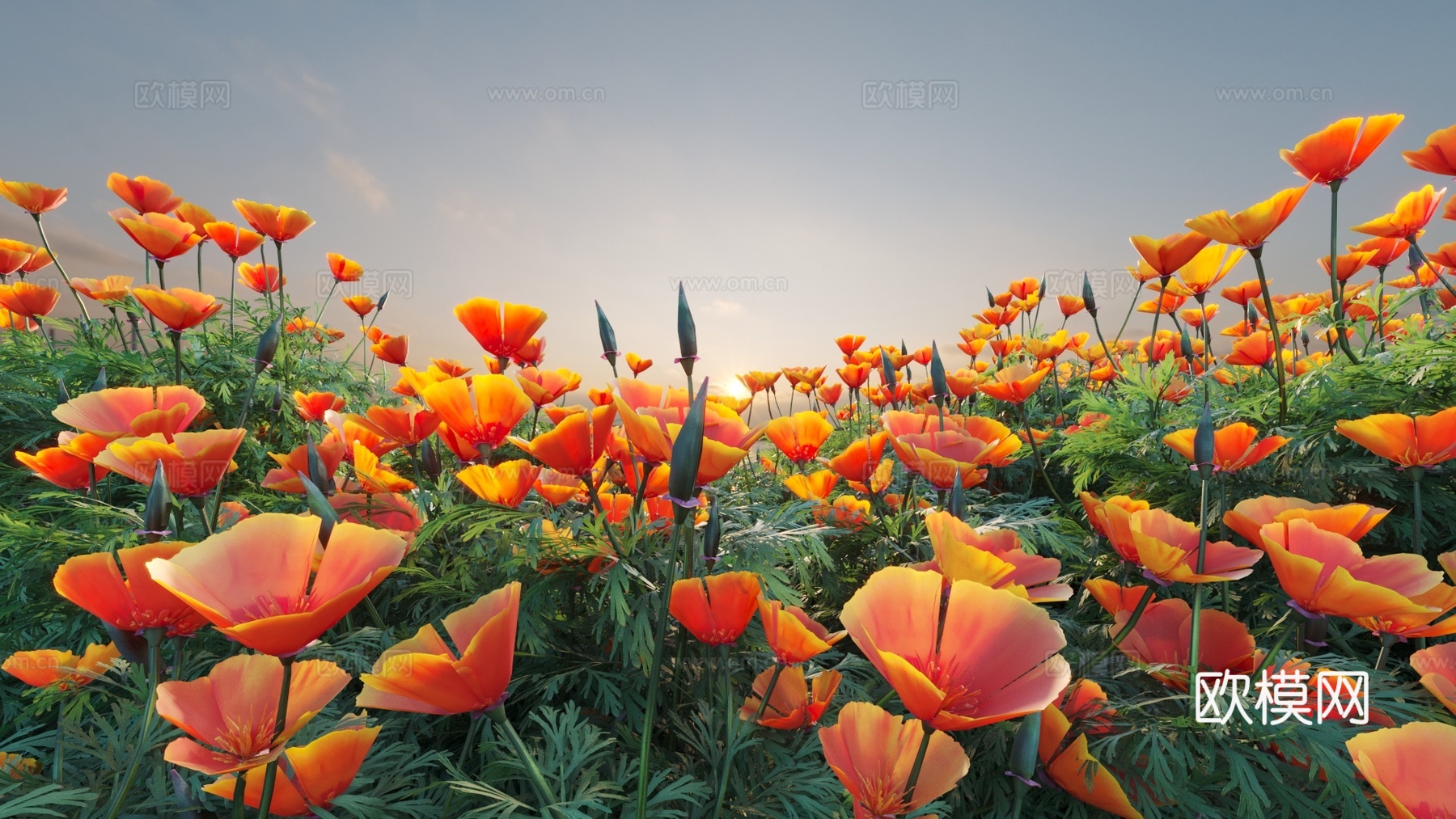 花草 花 黄色花3d模型