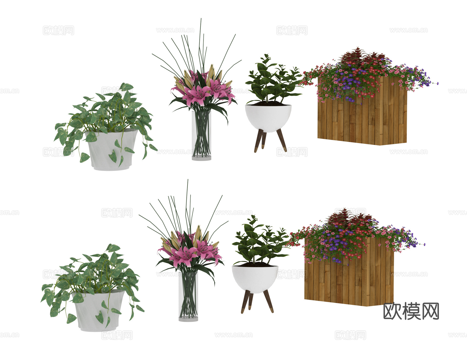 植物盆栽3d模型