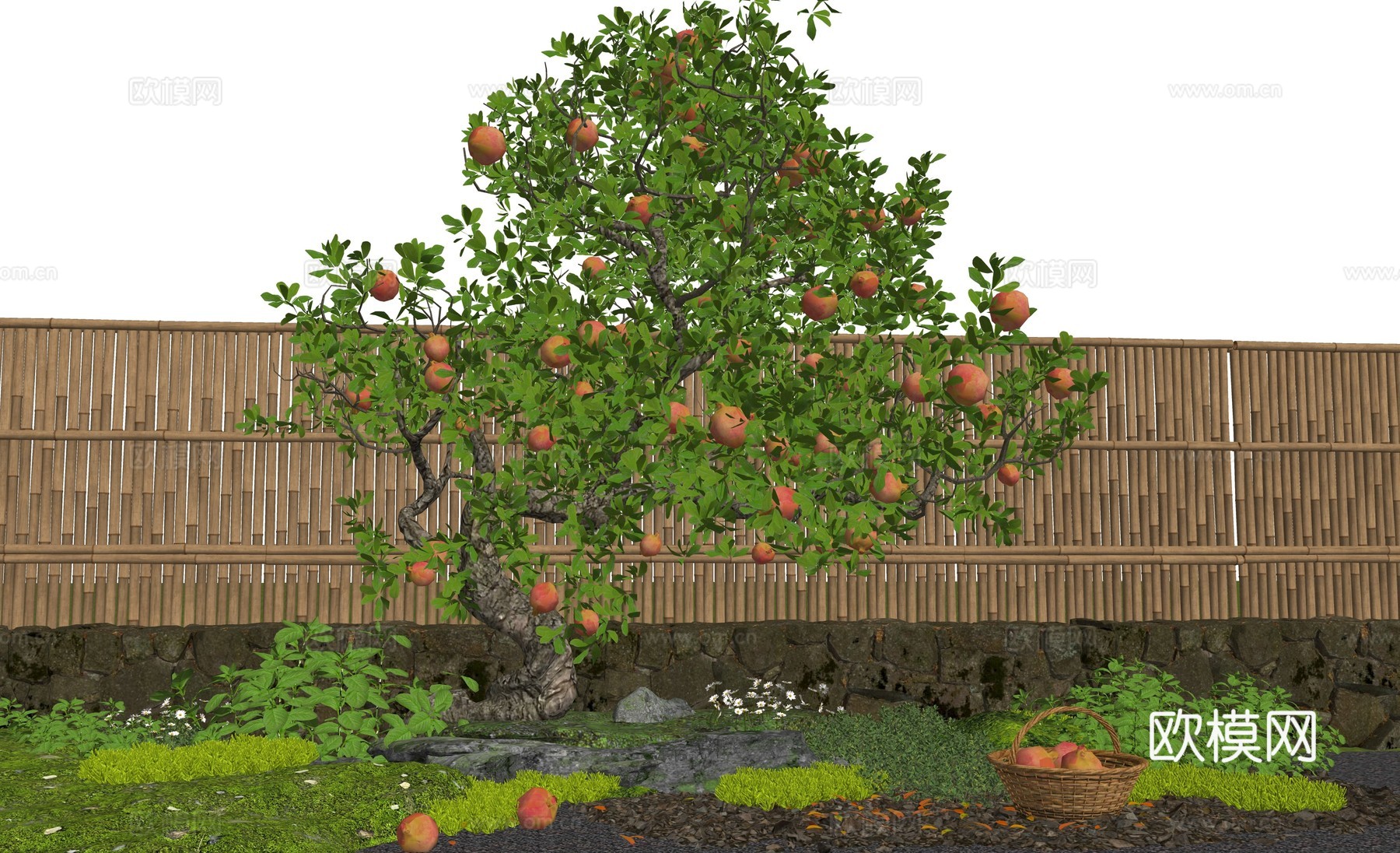 乔木 石榴树 庭院果树乔木 柿子树 景观造型树 石榴老桩树池su模型
