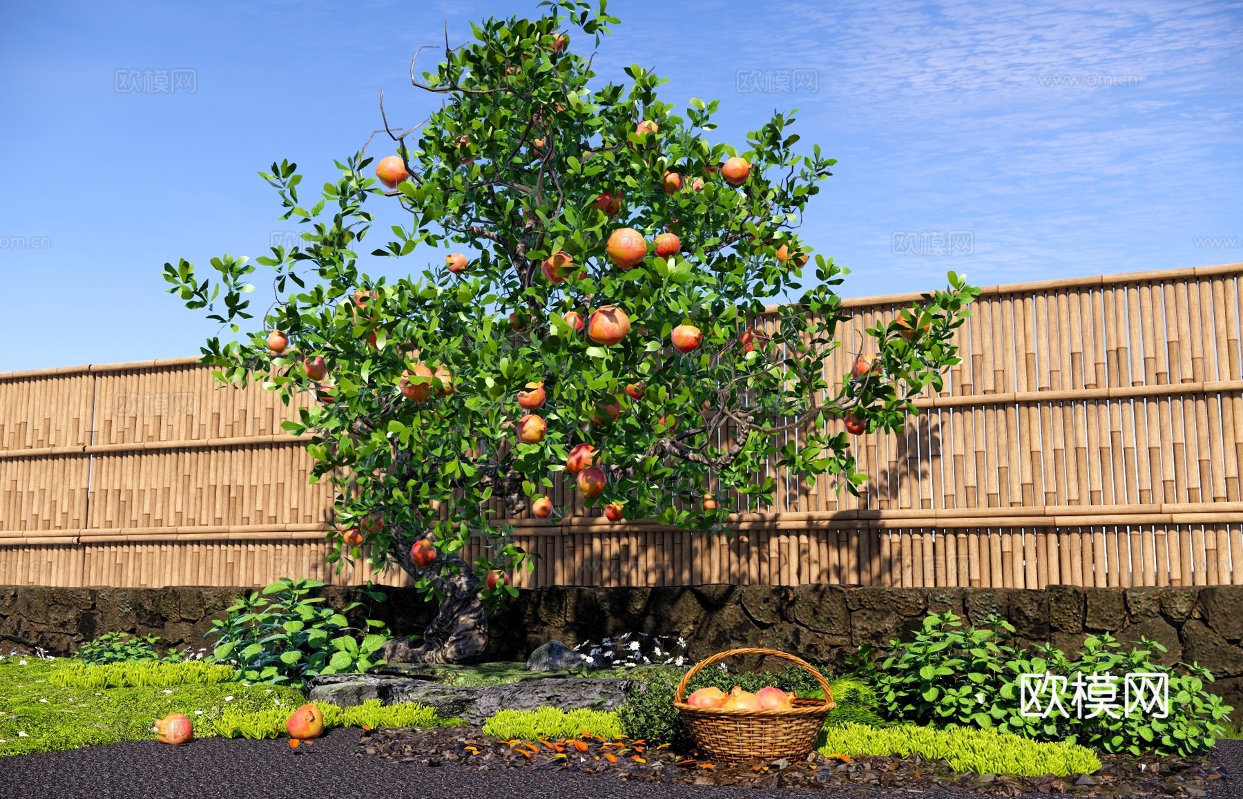 乔木 石榴树 庭院果树乔木 柿子树 景观造型树 石榴老桩树池su模型