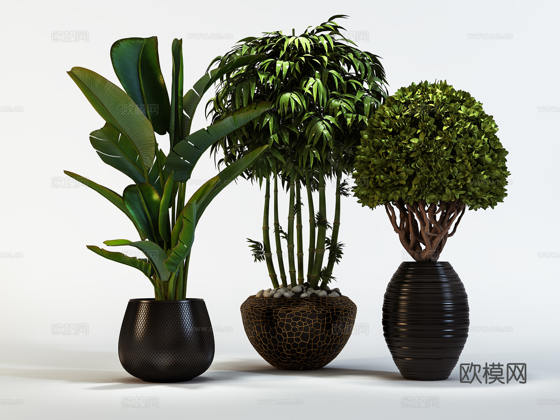 现代植物花草  绿植盆栽    室内绿植3d模型
