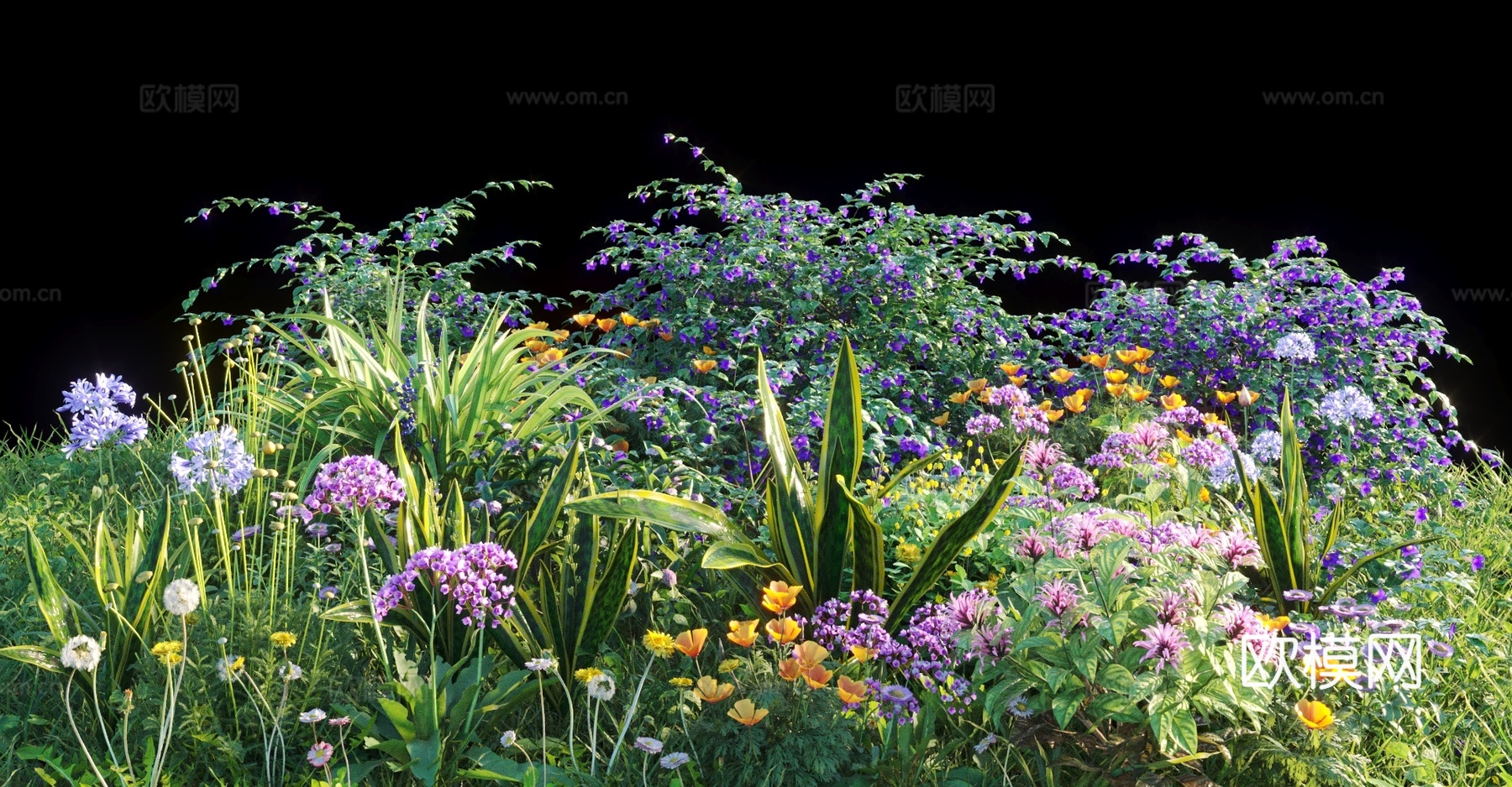 灌木 花草 紫色花 黄色花3d模型