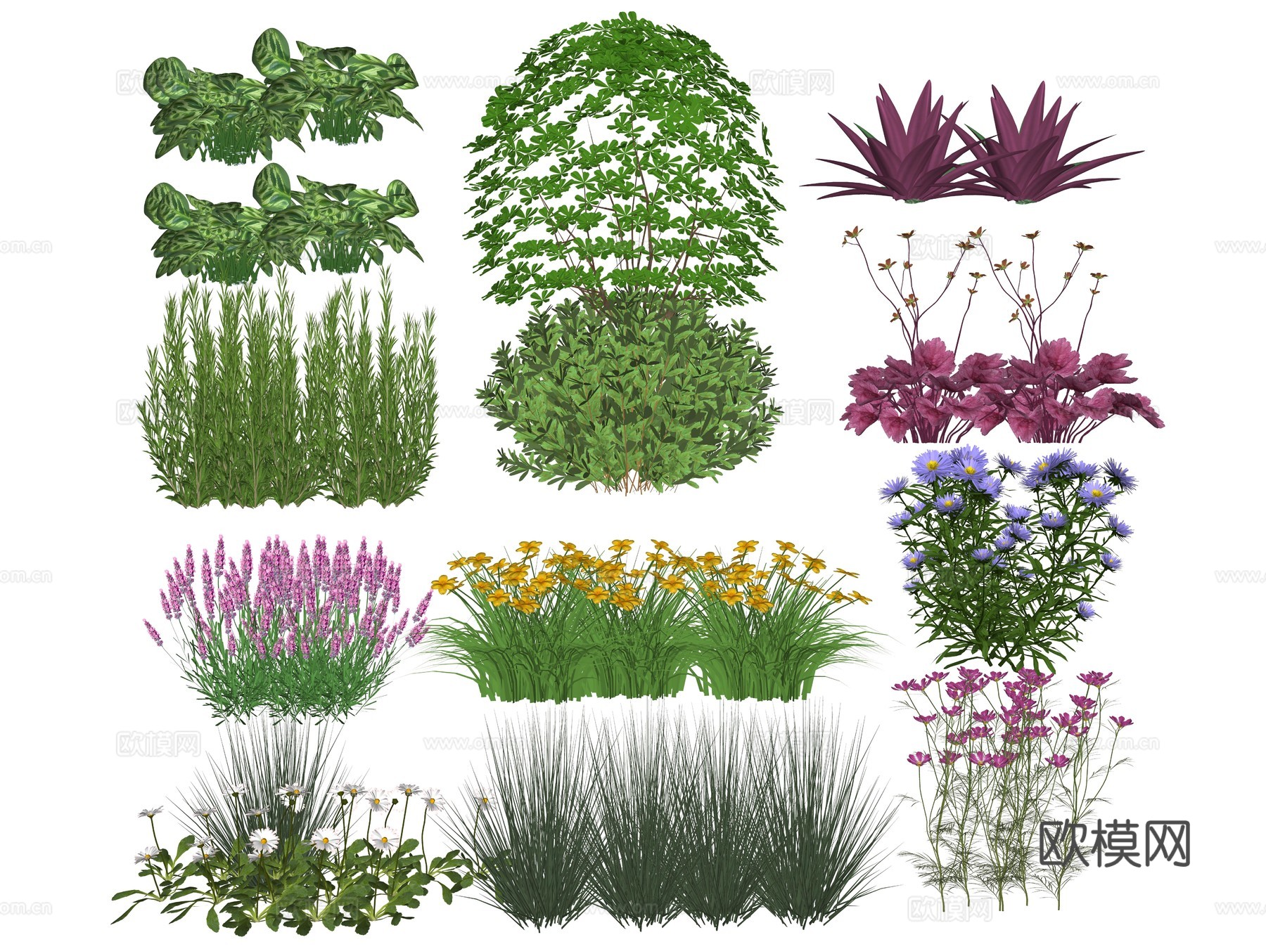 庭院植物花草 草花植物 公园景观地被植物 花箱花草su模型