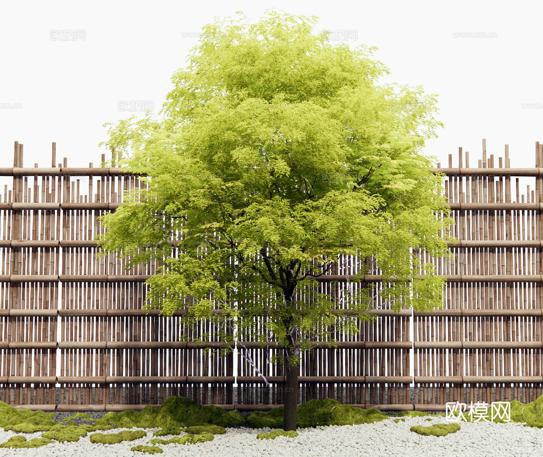 现代景观树 行道树 乔木 造景树 竹篱 苔藓su模型