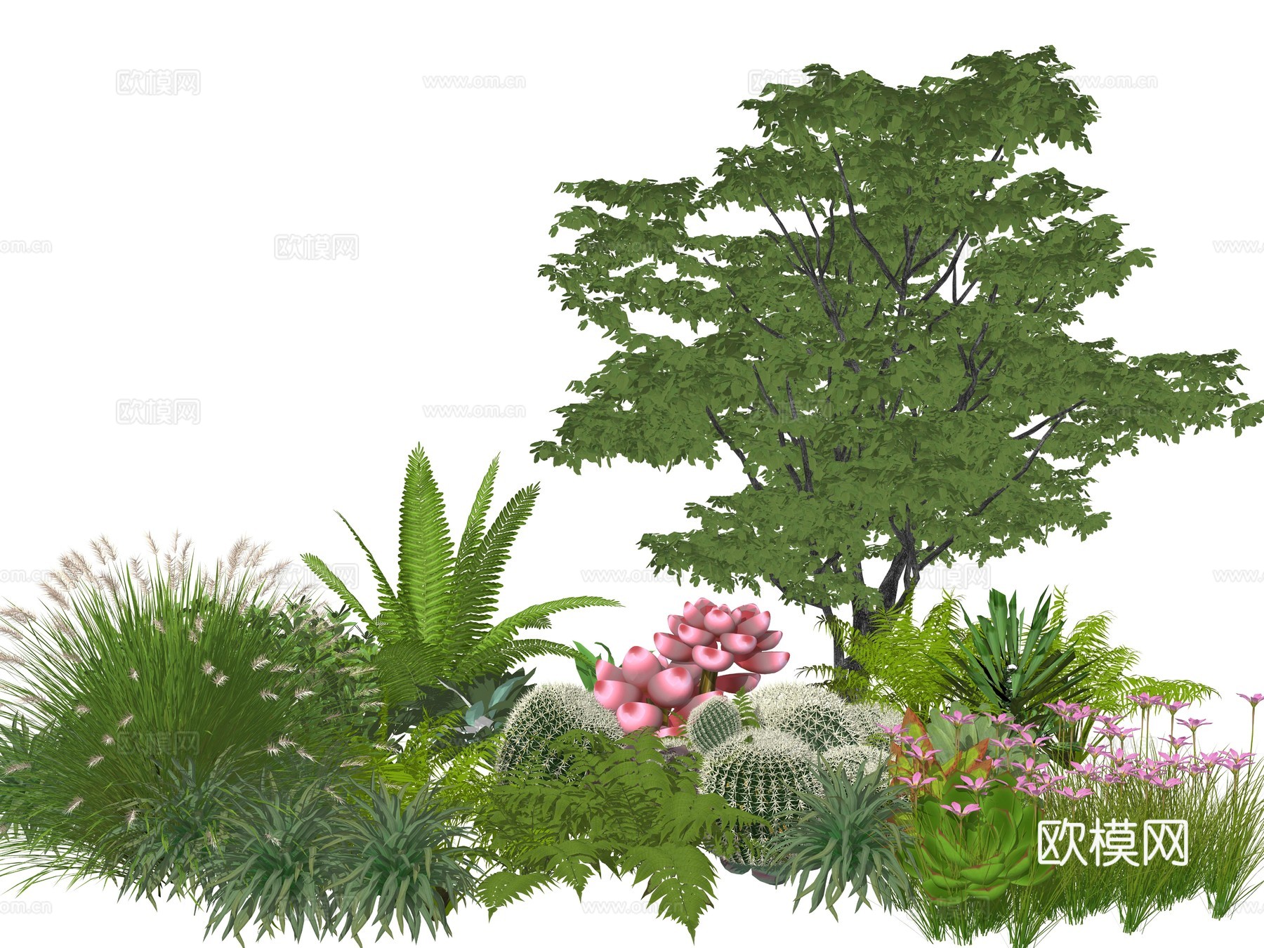 造型松 庭院景观植物组合 植物堆 公园景观植物su模型