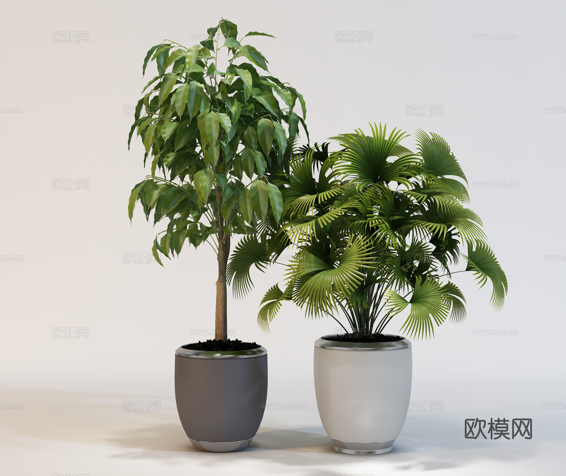 现代植物花草  绿植盆栽    室内绿植3d模型