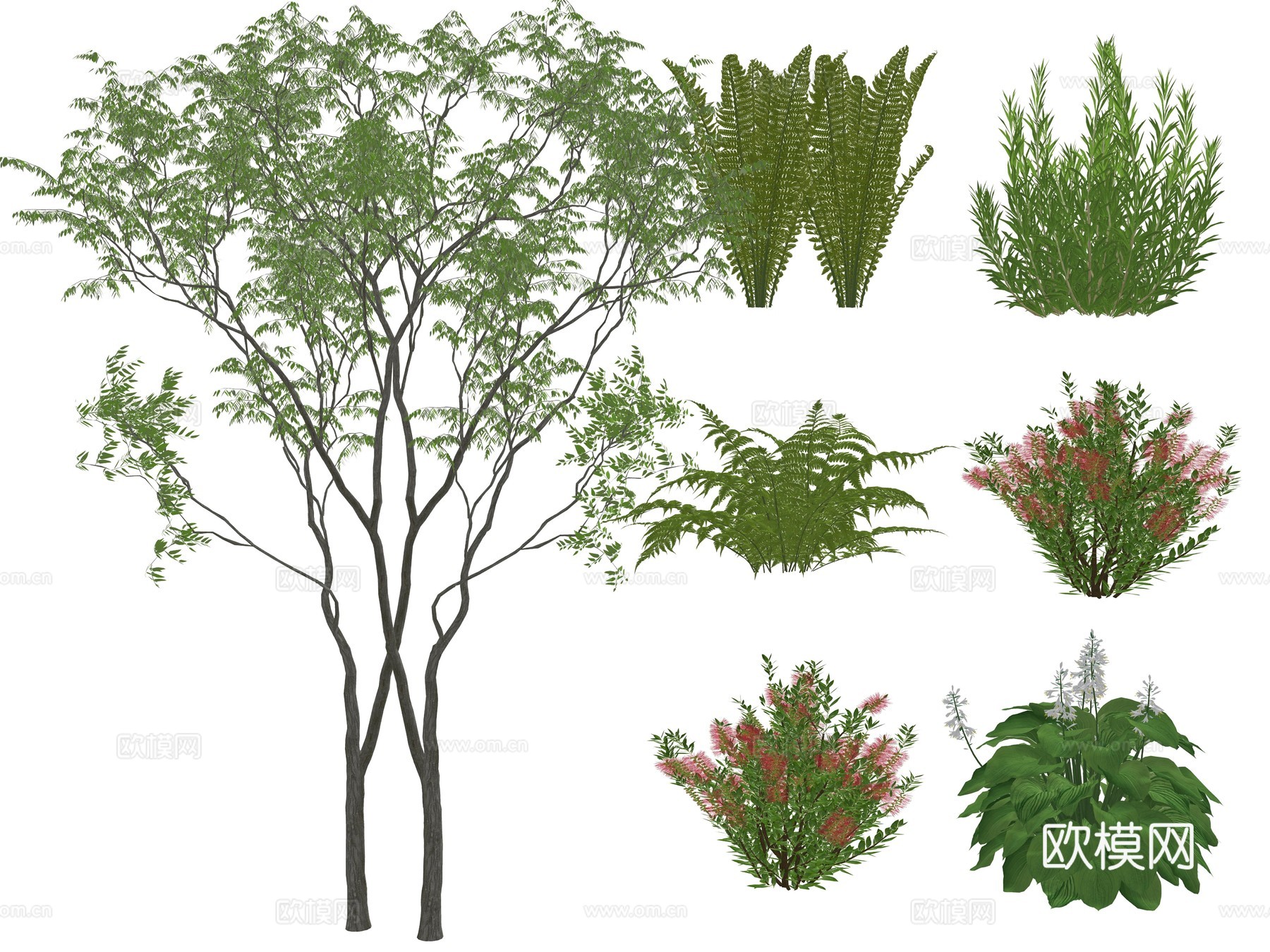 庭院植物花草 草花植物 小院景观地被植物 花箱花草su模型