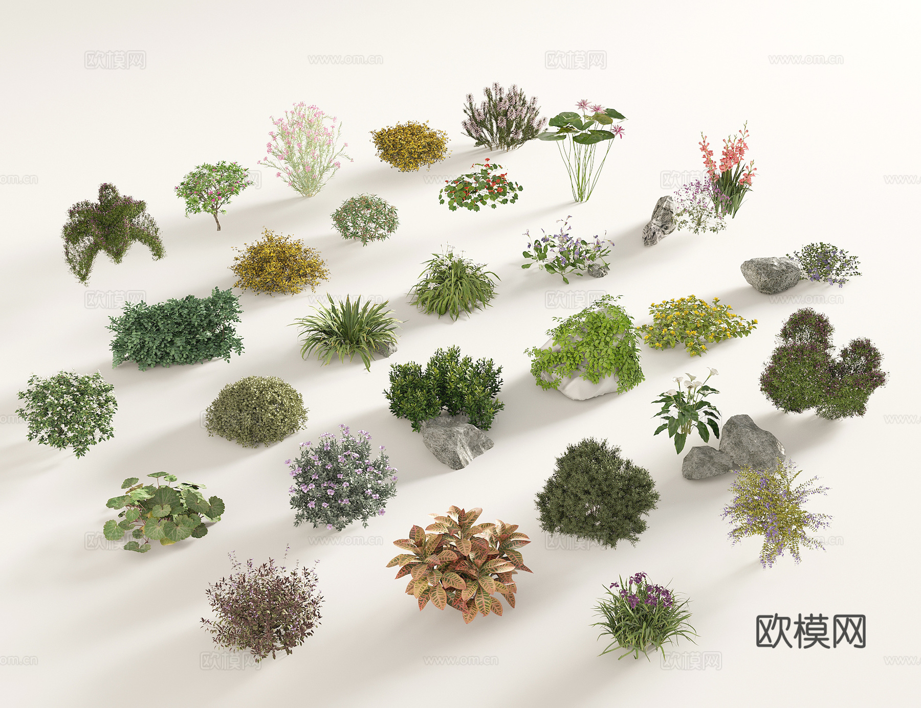 现代花卉灌木 现代灌木组合 园艺 植物3d模型