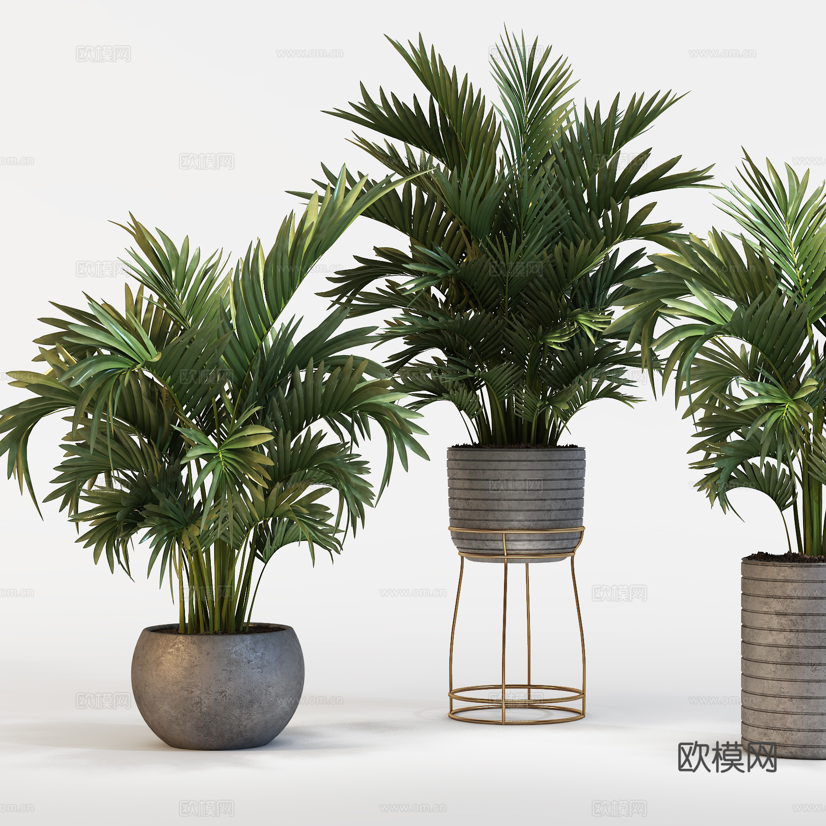 现代植物花草  绿植盆栽    室内绿植3d模型