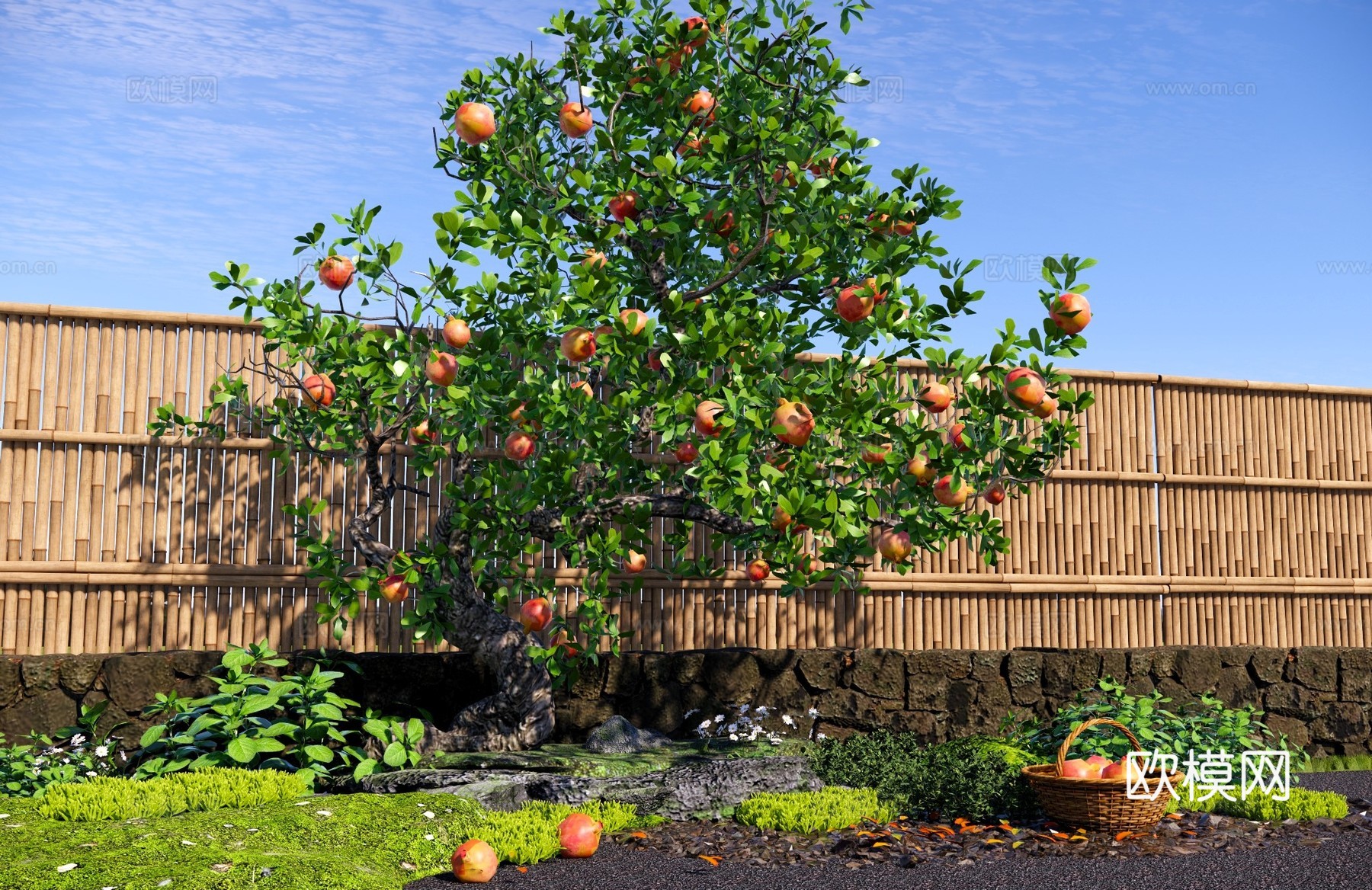 乔木 石榴树 庭院果树乔木 柿子树 景观造型树 石榴老桩树池su模型