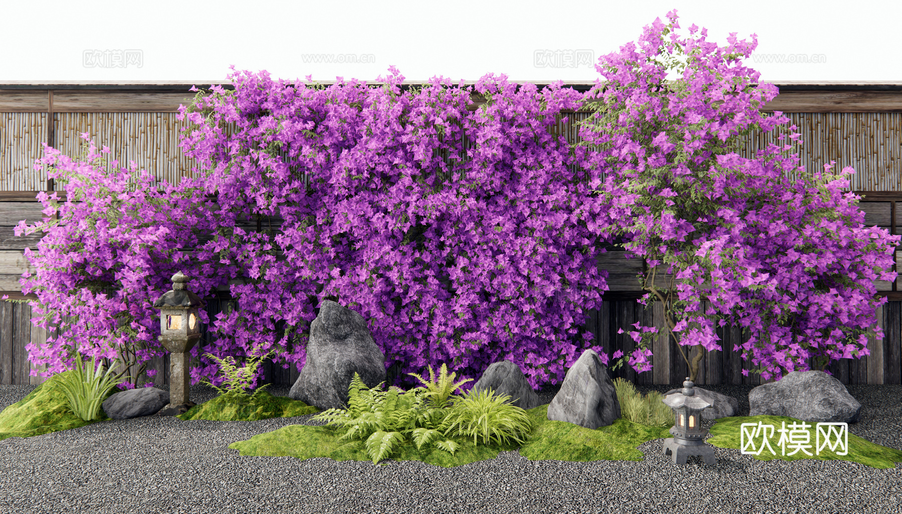 现代三角梅藤蔓 爬墙花卉 勒杜鹃 藤本绿植 爬山虎 藤蔓植物3d模型