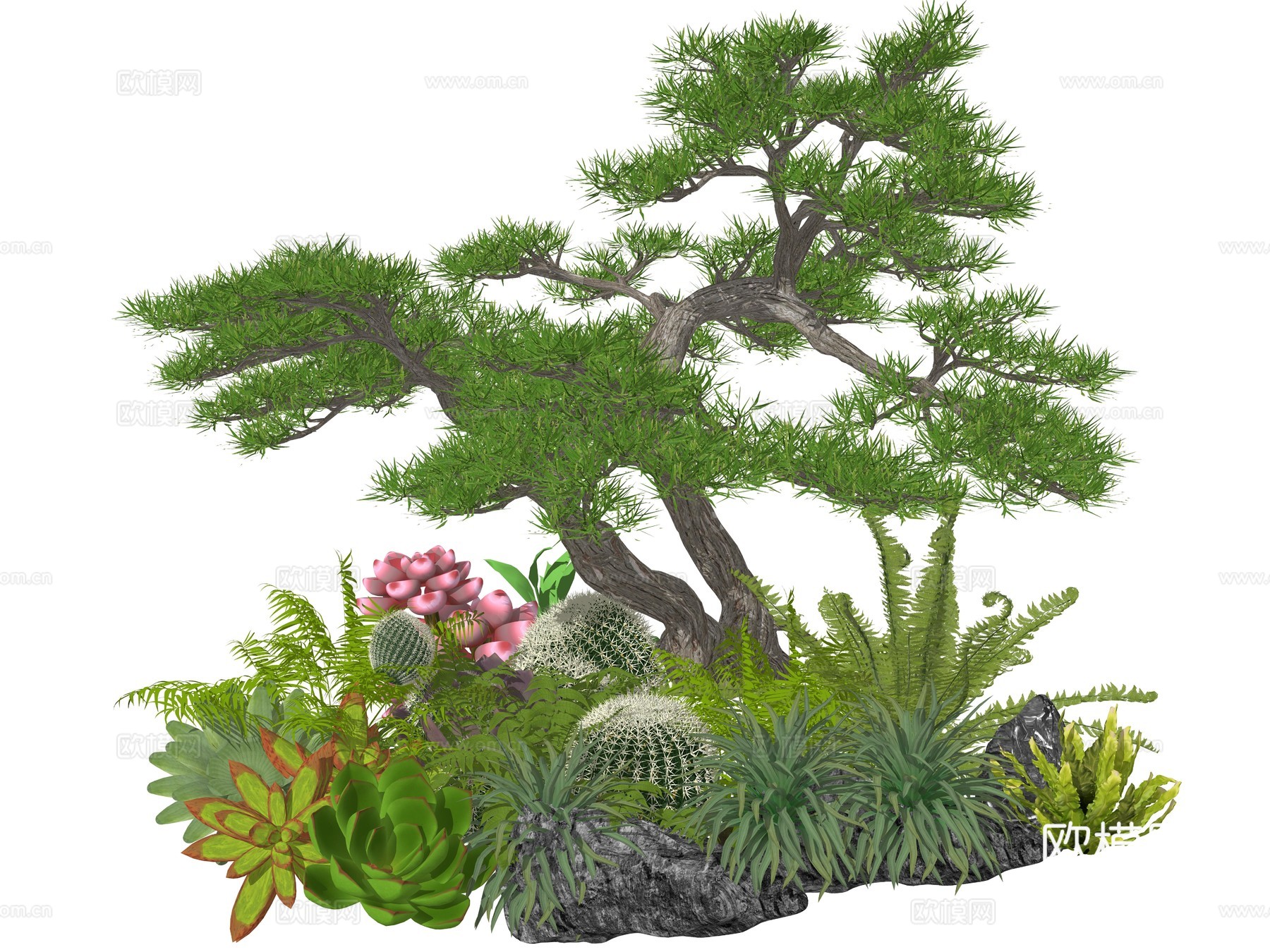 造型松 庭院景观植物组合 植物堆 公园景观植物su模型
