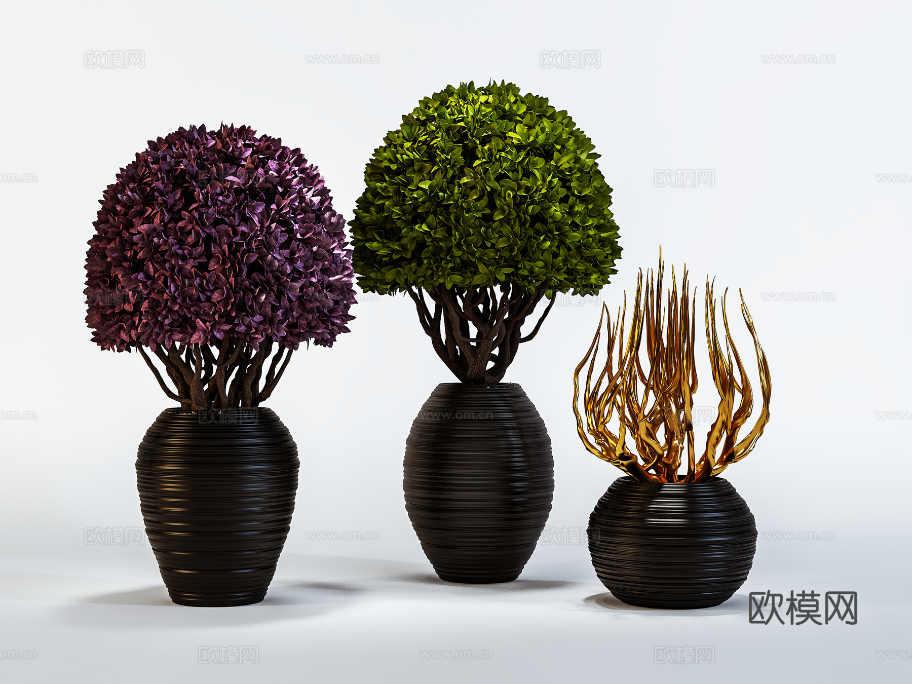现代植物花草  绿植盆栽    室内绿植3d模型