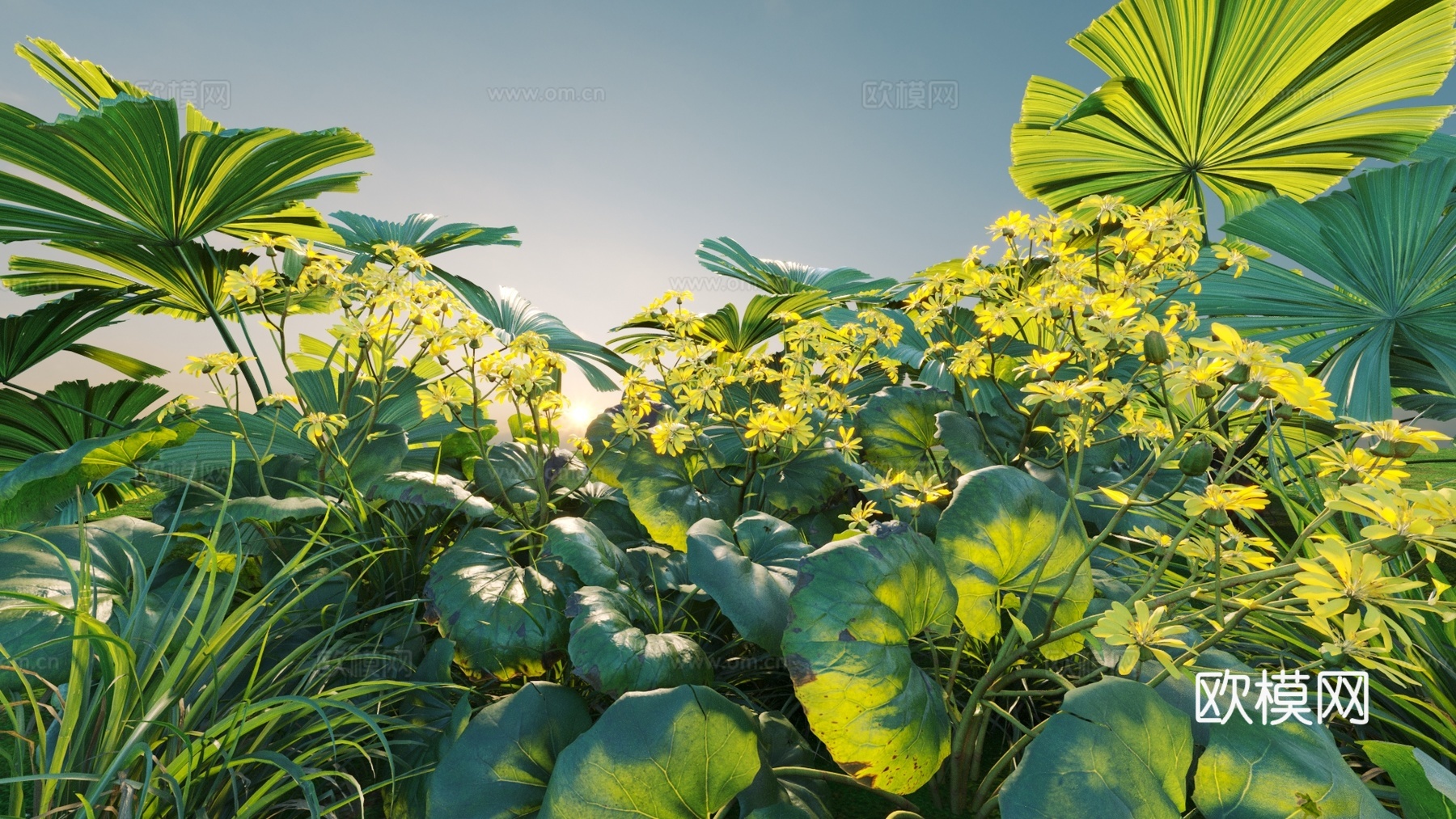 花草 花 灌木 热带植物3d模型