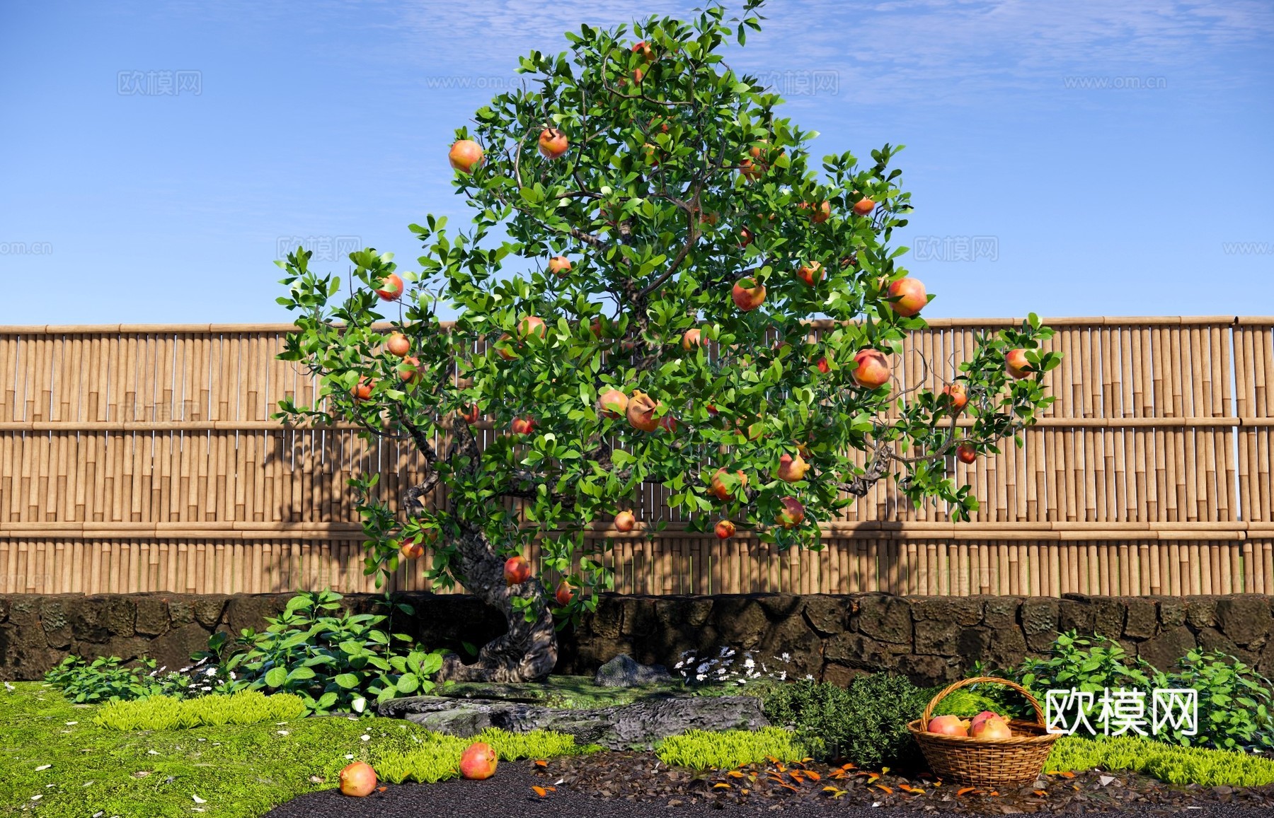乔木 石榴树 庭院果树乔木 柿子树 景观造型树 石榴老桩树池su模型