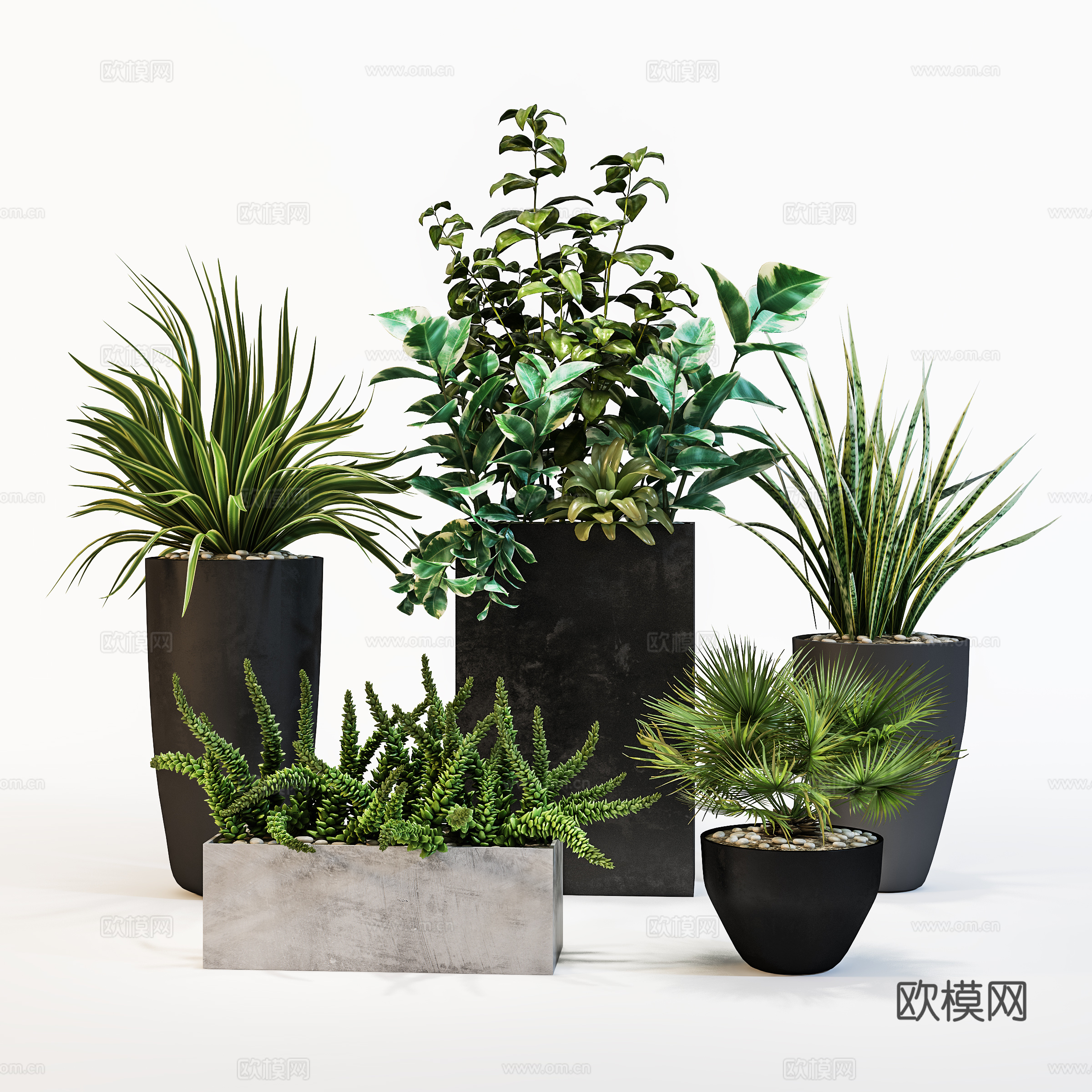 现代植物花草  绿植盆栽    室内绿植3d模型