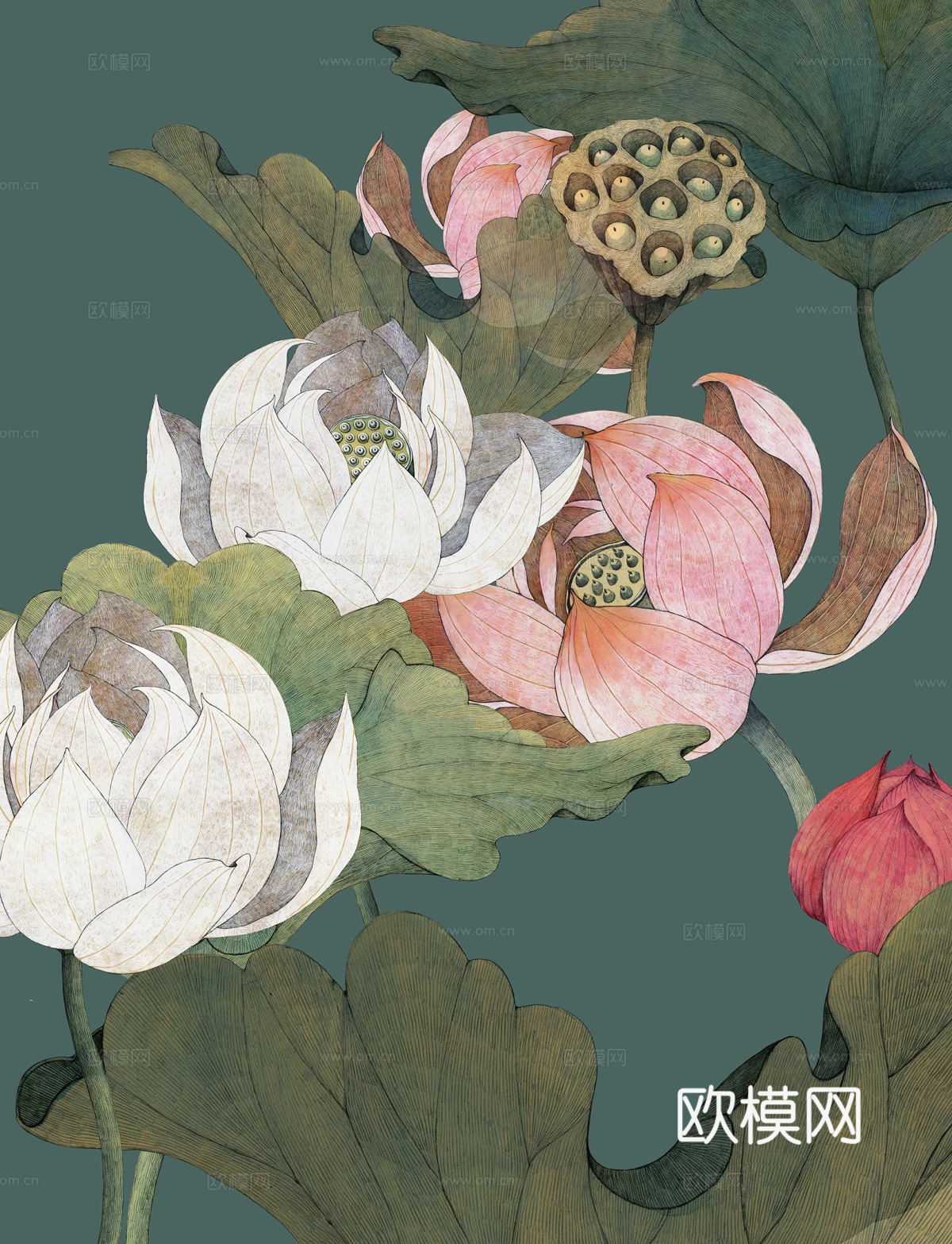 装饰画  水墨画  中式画  莲花