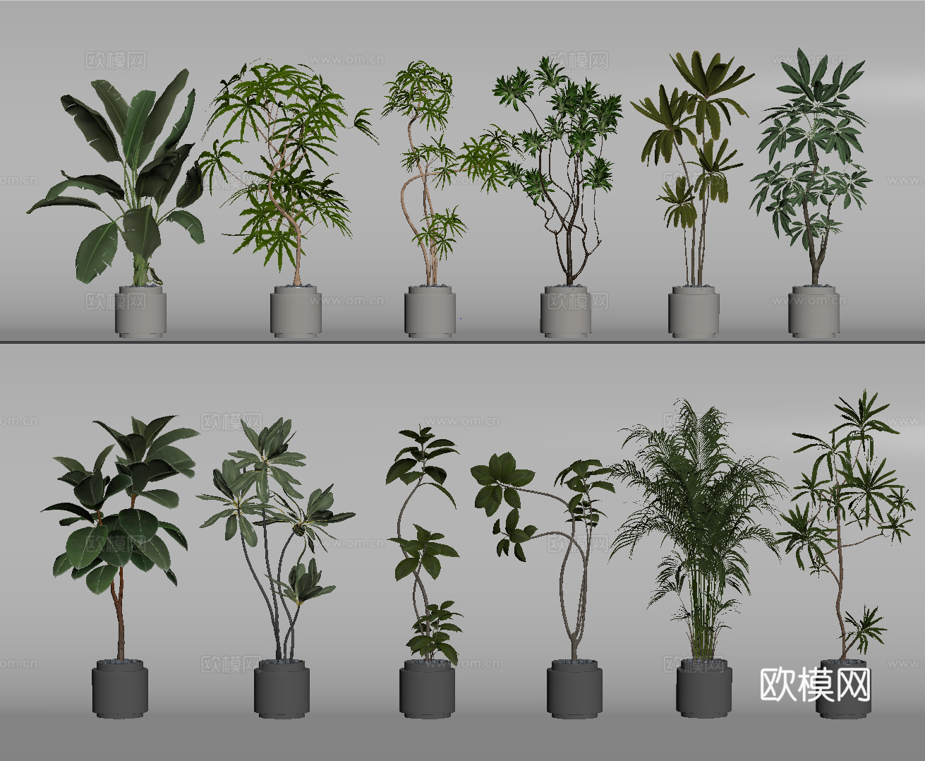 盆栽 盆景 绿植 植物su模型