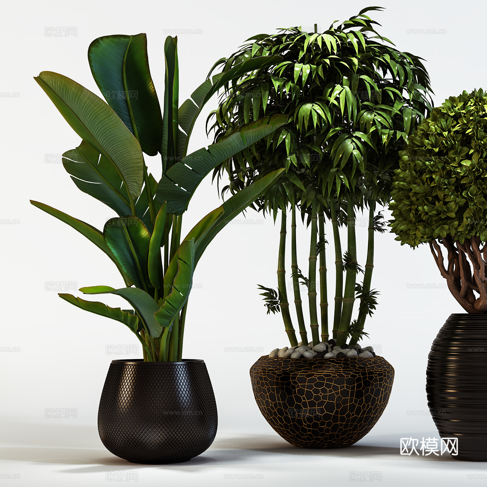 现代植物花草  绿植盆栽    室内绿植3d模型