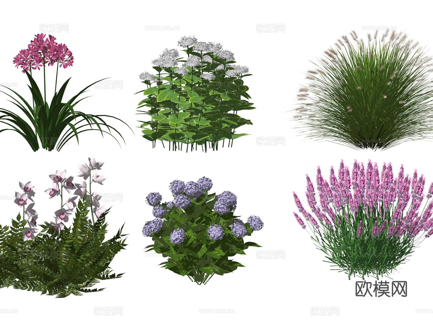 现代庭院植物花草 草花植物 小院景观地被植物su模型