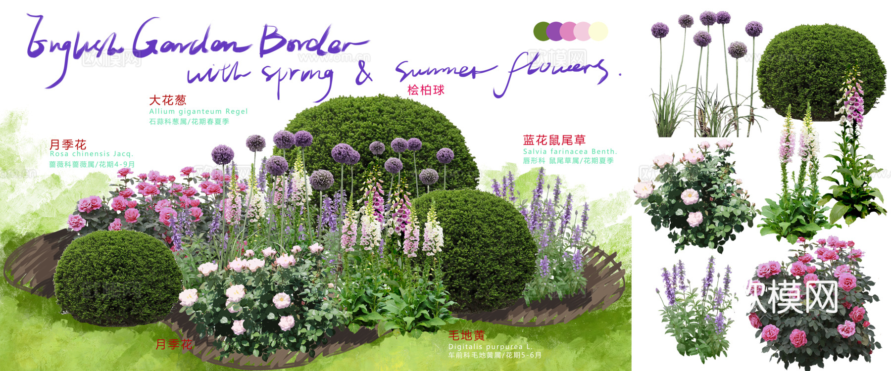 免扣图花草花卉花境